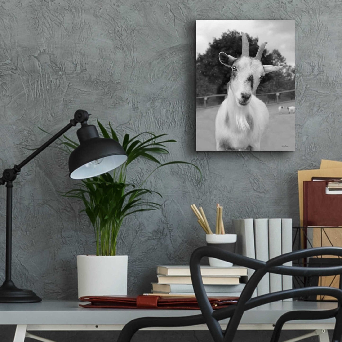 Epic Art 'Lake Tobias Goat II' by Lori Deiter Acrylic Glass Wall Art,12x16