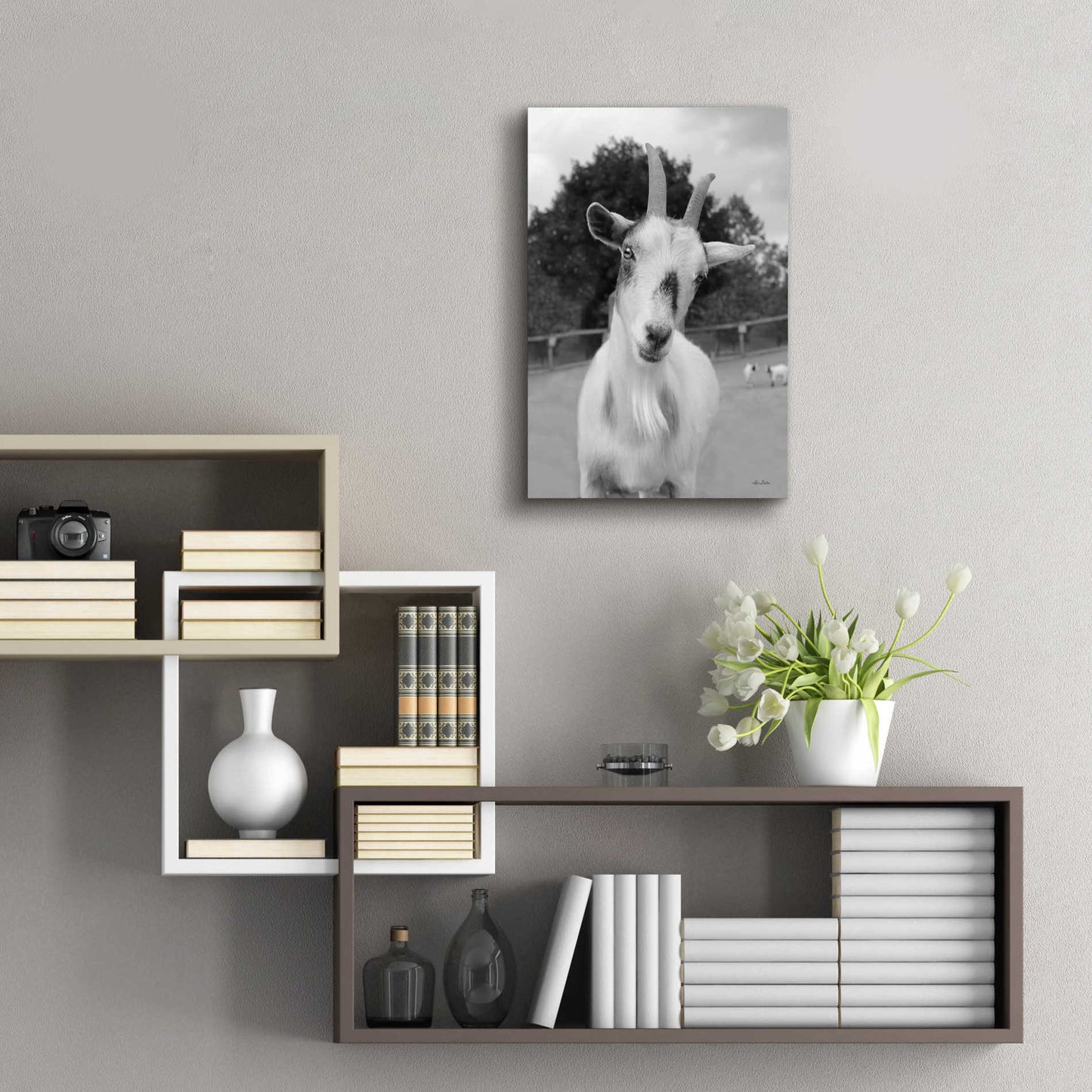 Epic Art 'Lake Tobias Goat II' by Lori Deiter Acrylic Glass Wall Art,16x24