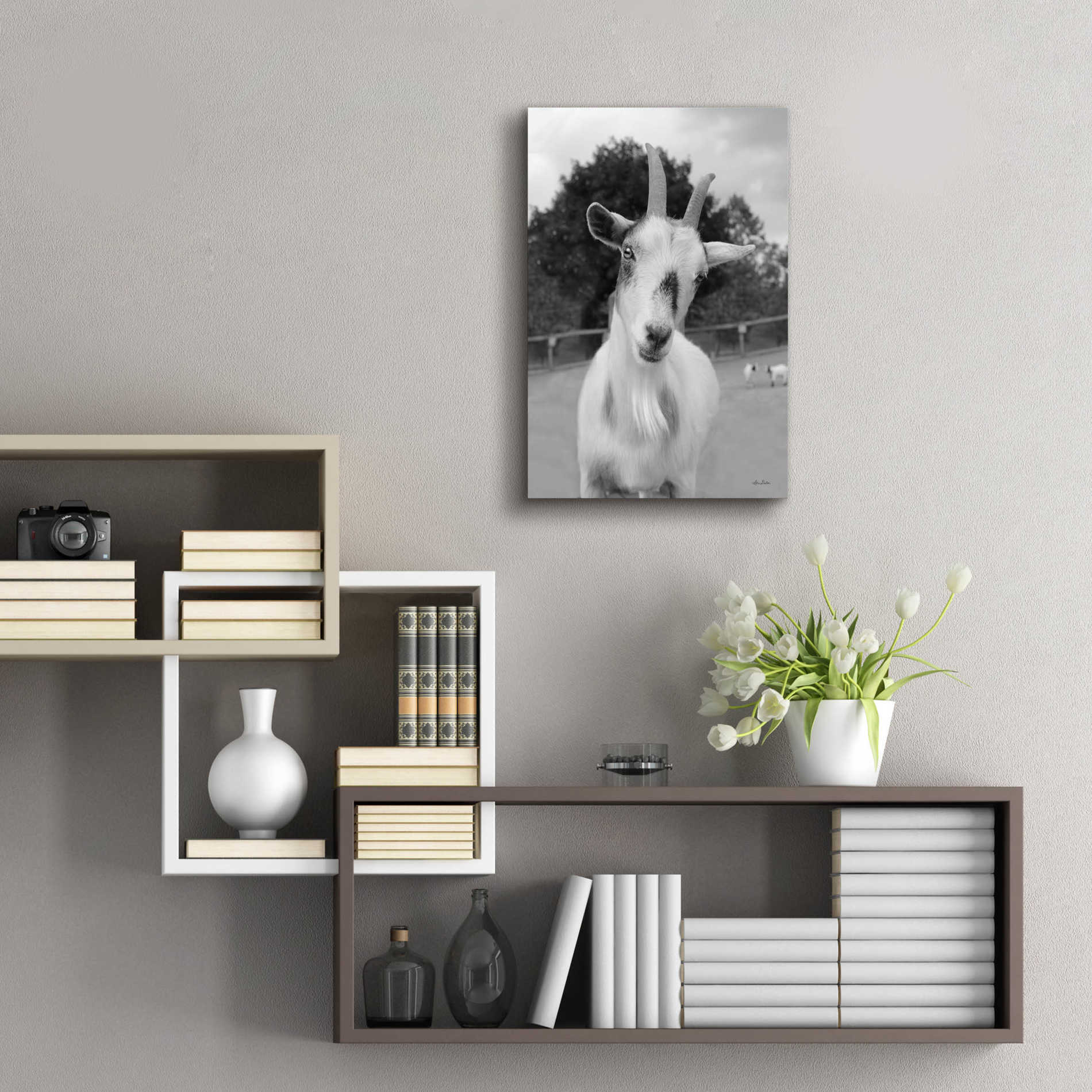 Epic Art 'Lake Tobias Goat II' by Lori Deiter Acrylic Glass Wall Art,16x24