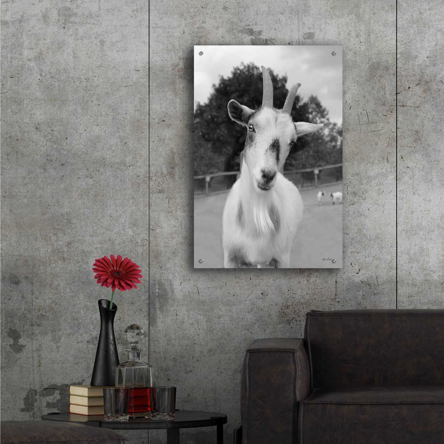 Epic Art 'Lake Tobias Goat II' by Lori Deiter Acrylic Glass Wall Art,24x36