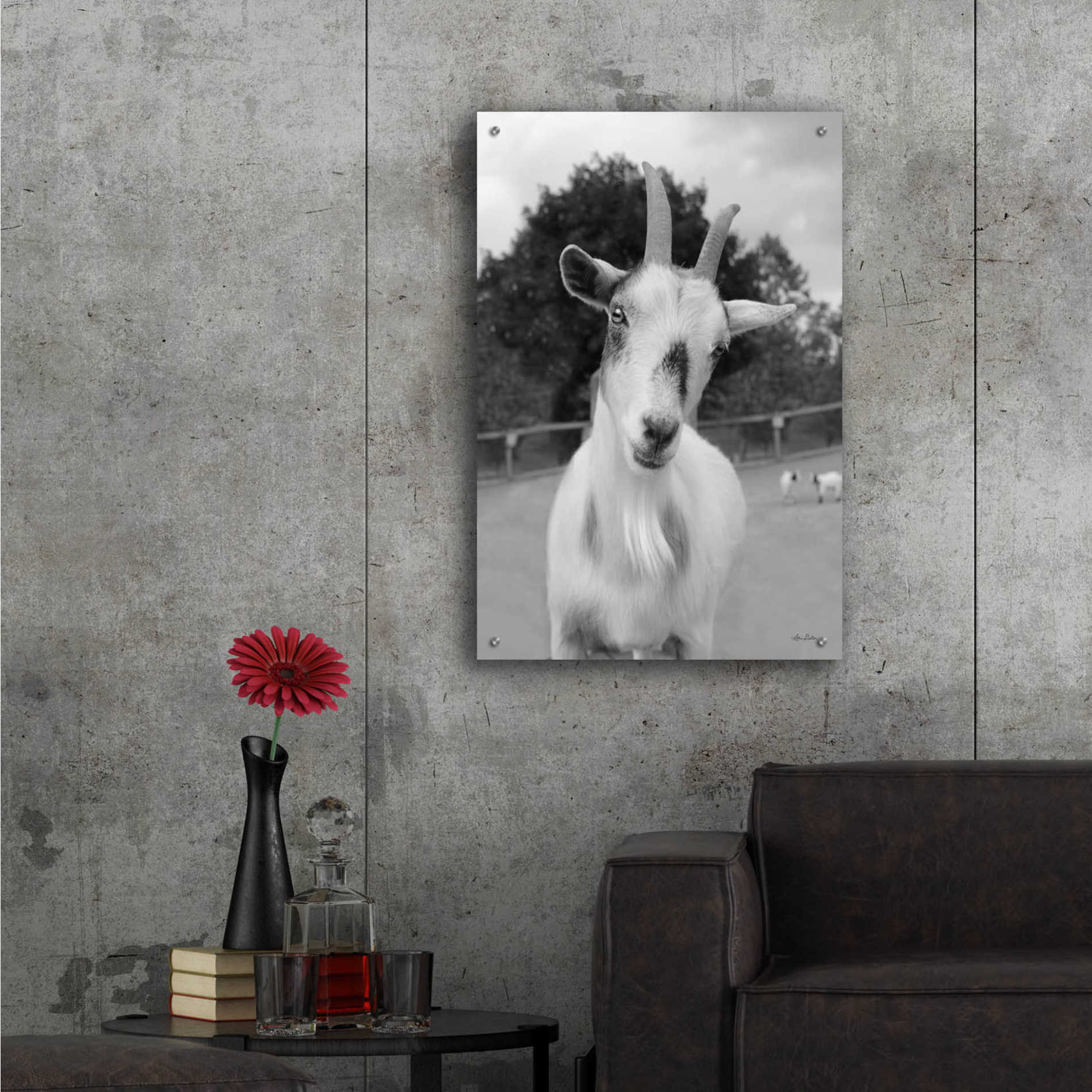 Epic Art 'Lake Tobias Goat II' by Lori Deiter Acrylic Glass Wall Art,24x36