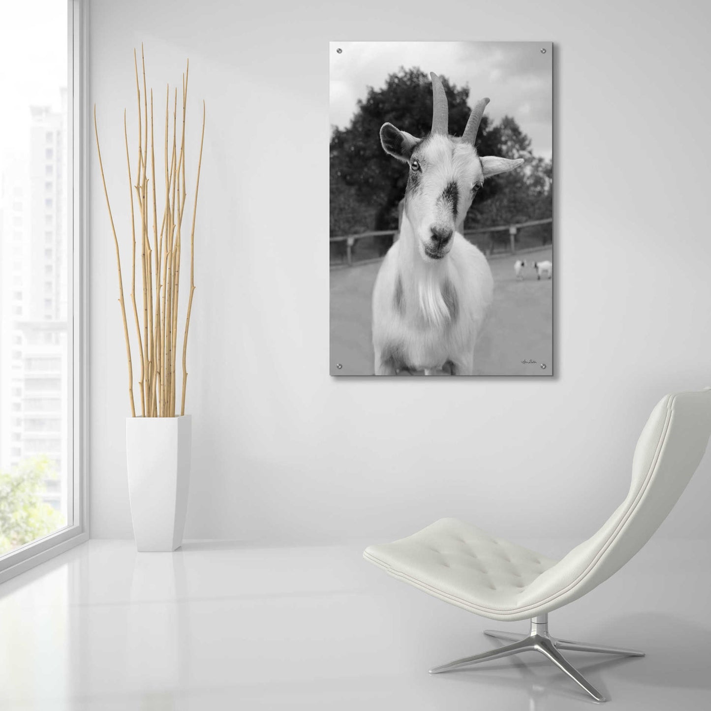 Epic Art 'Lake Tobias Goat II' by Lori Deiter Acrylic Glass Wall Art,24x36