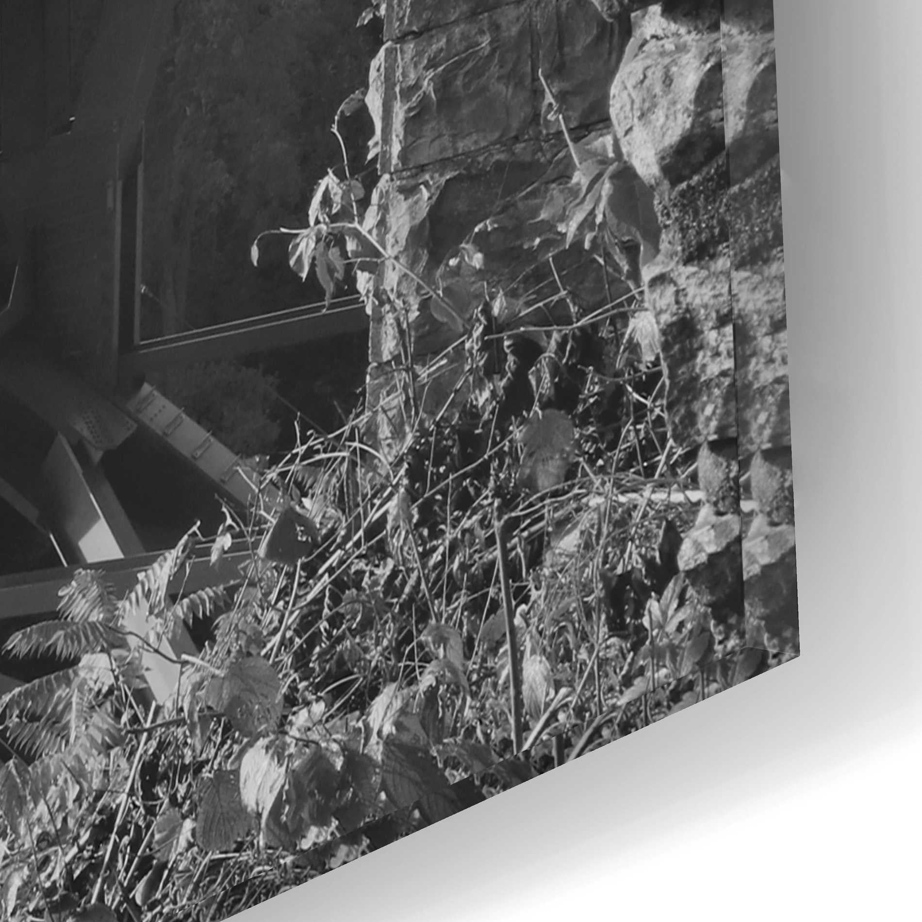 Epic Art 'Sunrise at Letchworth Black & White' by Lori Deiter Acrylic Glass Wall Art,16x12