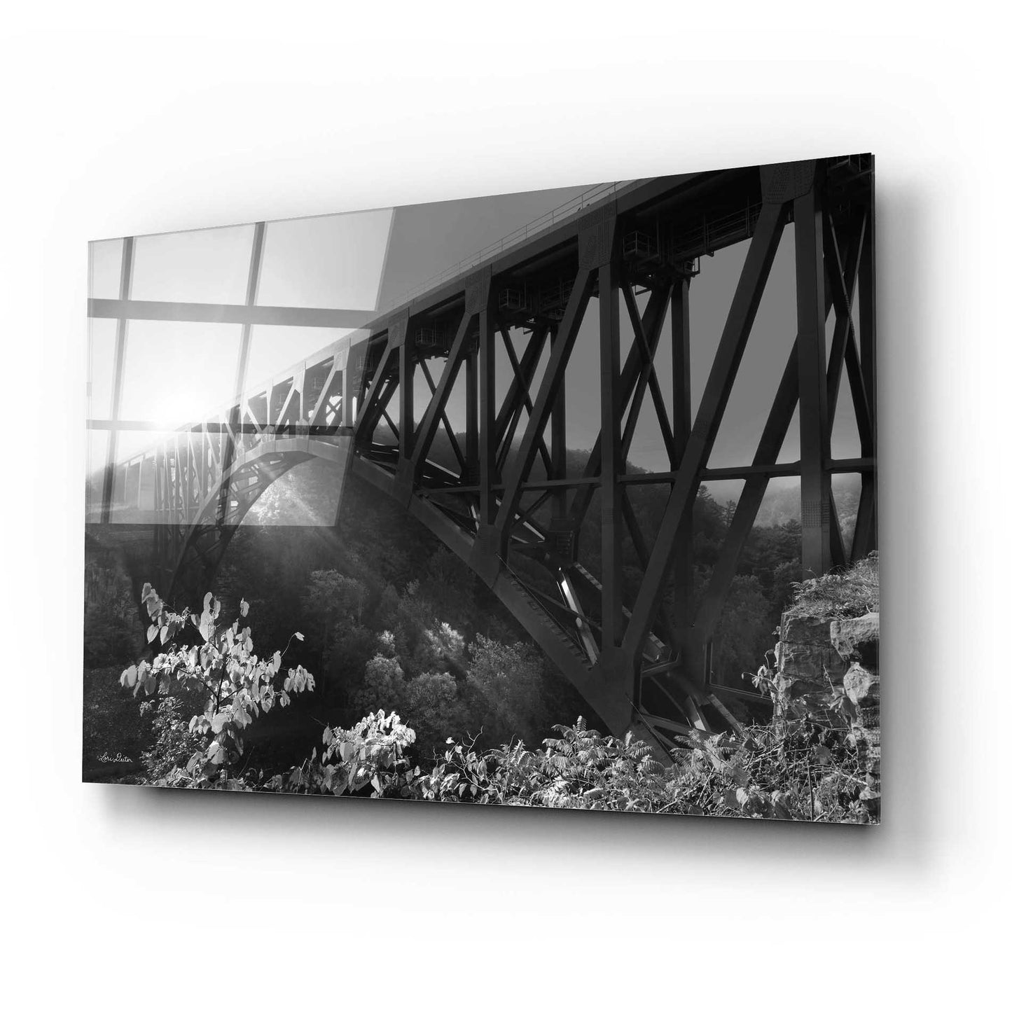 Epic Art 'Sunrise at Letchworth Black & White' by Lori Deiter Acrylic Glass Wall Art,24x16