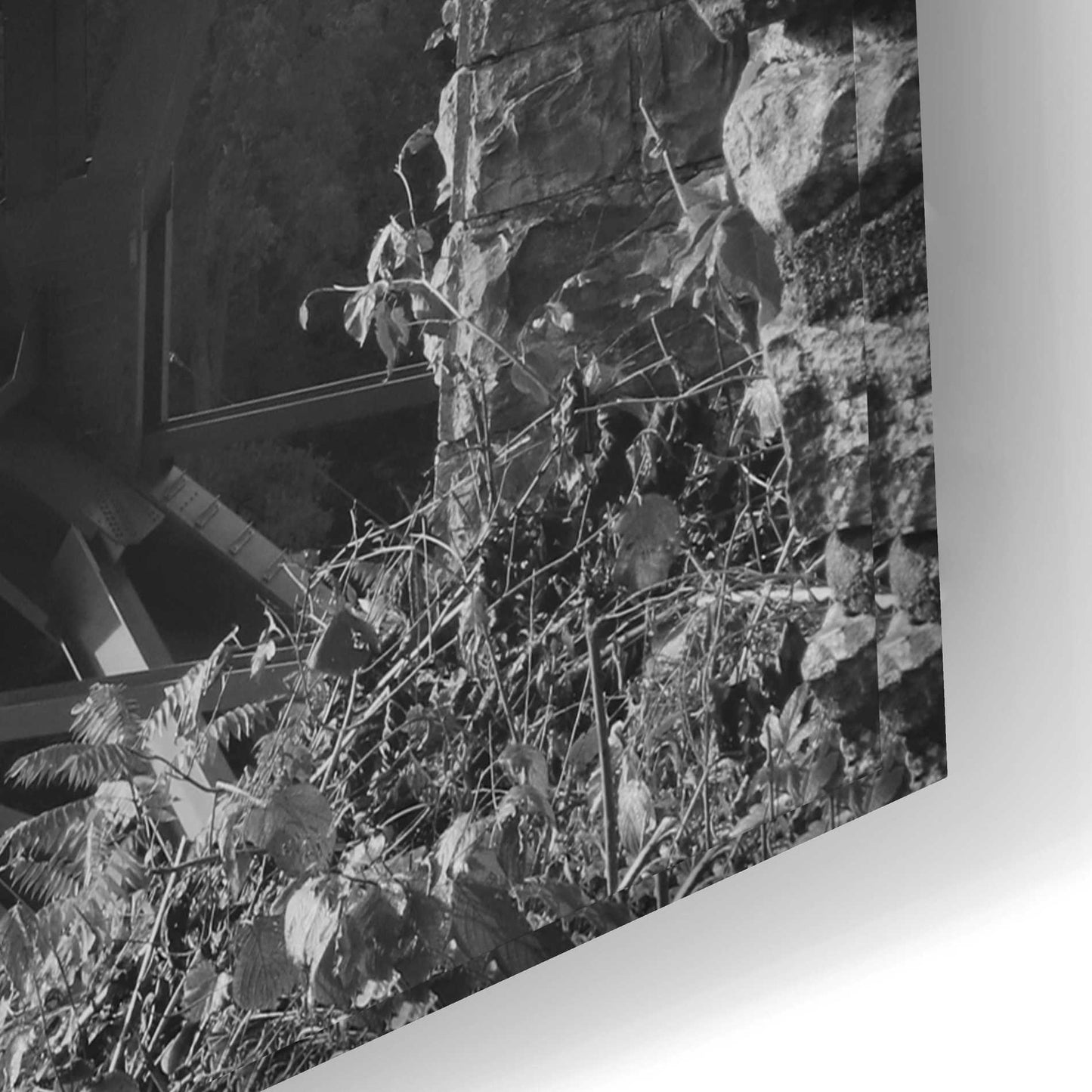Epic Art 'Sunrise at Letchworth Black & White' by Lori Deiter Acrylic Glass Wall Art,24x16