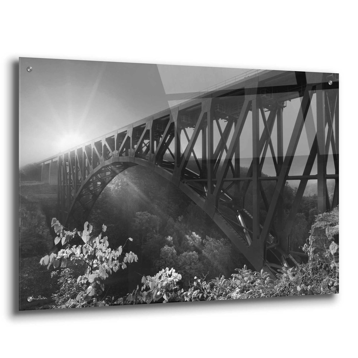 Epic Art 'Sunrise at Letchworth Black & White' by Lori Deiter Acrylic Glass Wall Art,36x24