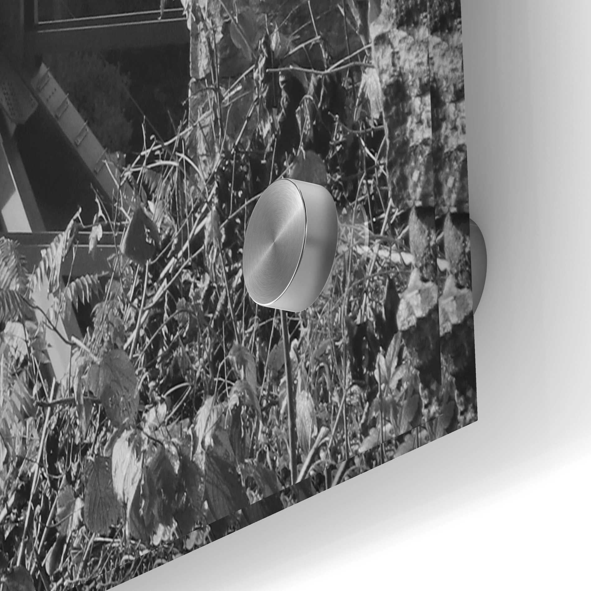 Epic Art 'Sunrise at Letchworth Black & White' by Lori Deiter Acrylic Glass Wall Art,36x24