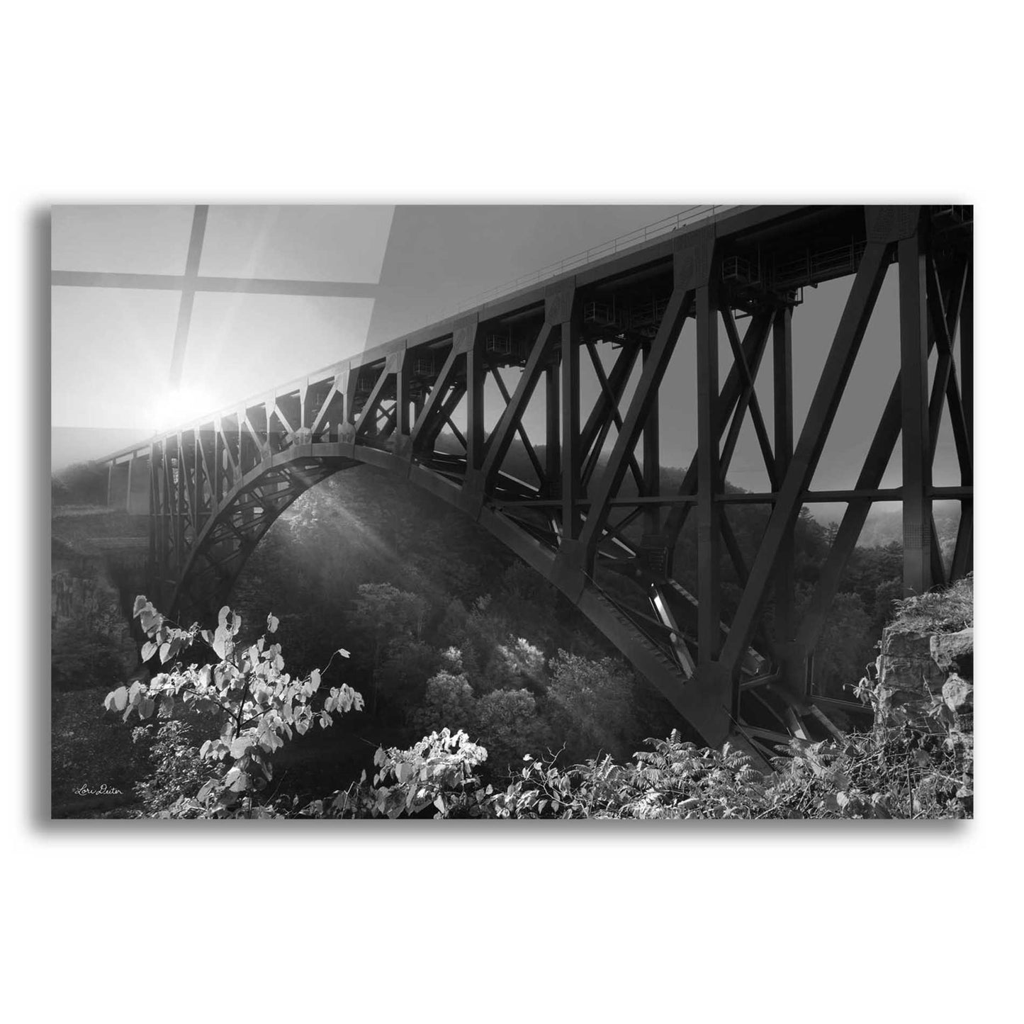 Epic Art 'Sunrise at Letchworth Black & White' by Lori Deiter Acrylic Glass Wall Art