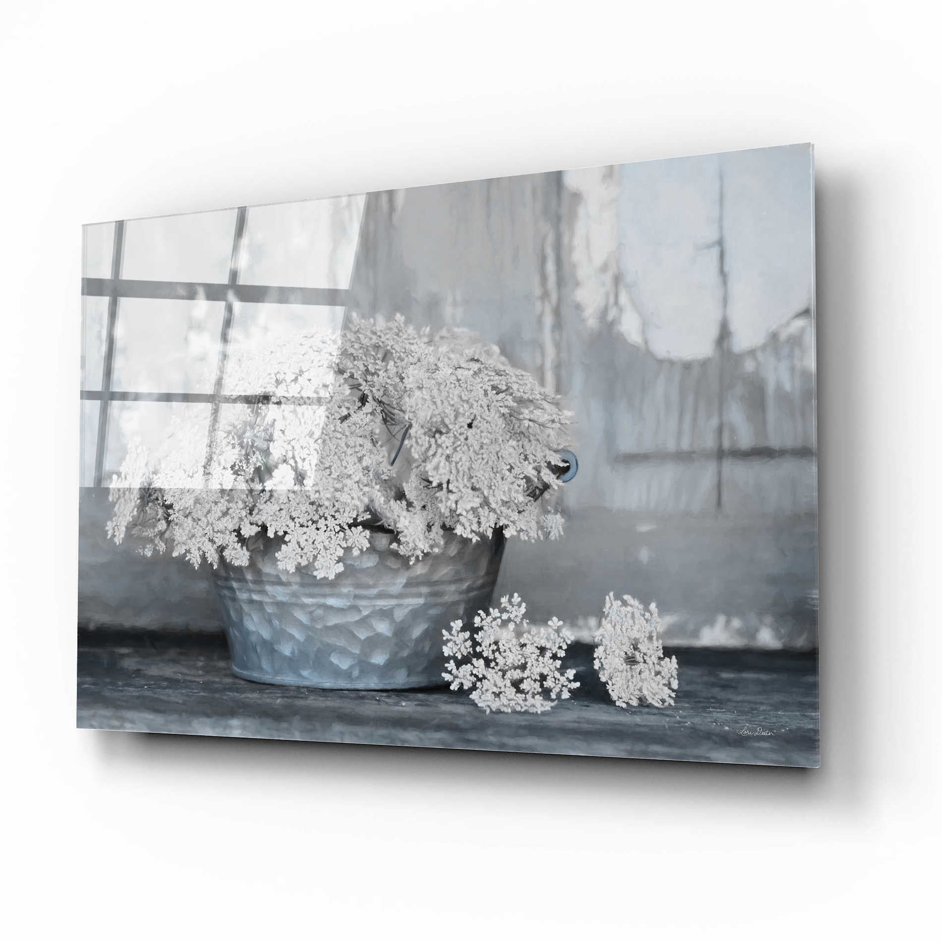 Epic Art 'Queen Anne's Lace I' by Lori Deiter Acrylic Glass Wall Art,16x12