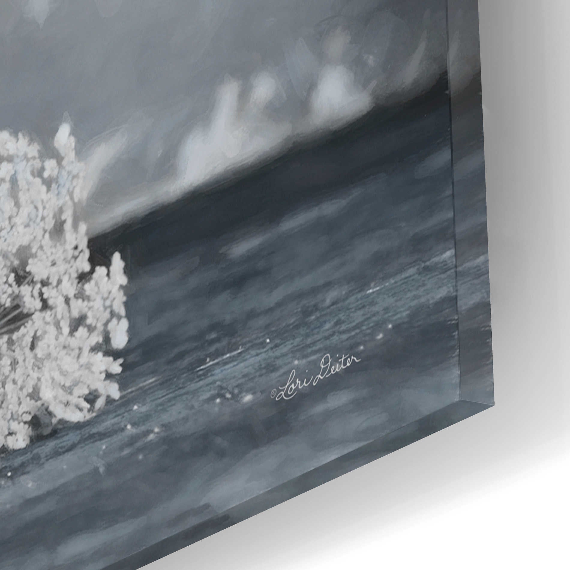 Epic Art 'Queen Anne's Lace I' by Lori Deiter Acrylic Glass Wall Art,16x12