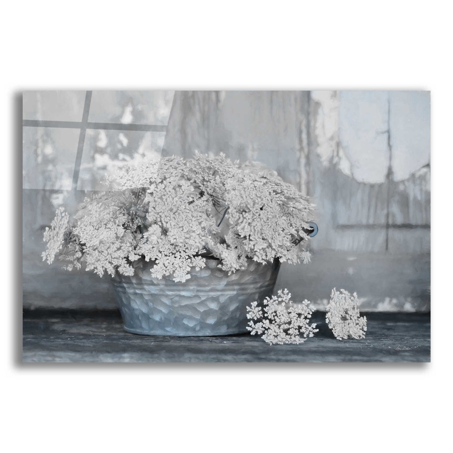 Epic Art 'Queen Anne's Lace I' by Lori Deiter Acrylic Glass Wall Art,16x12