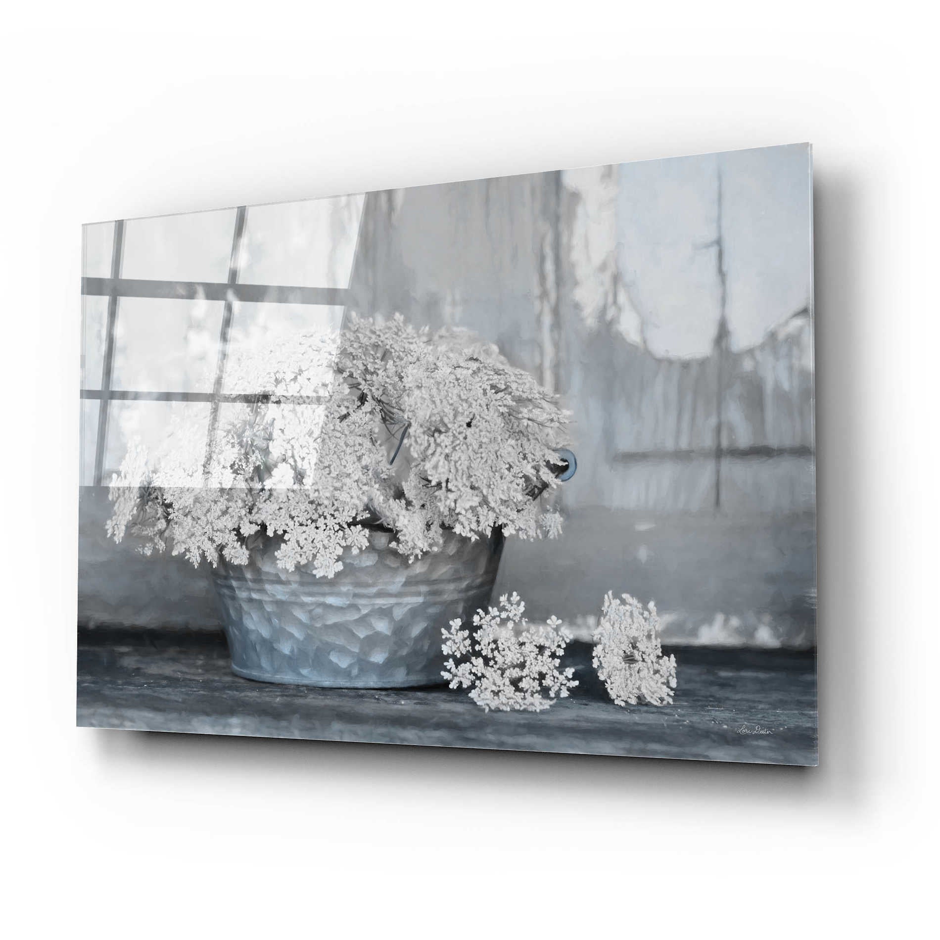 Epic Art 'Queen Anne's Lace I' by Lori Deiter Acrylic Glass Wall Art,24x16