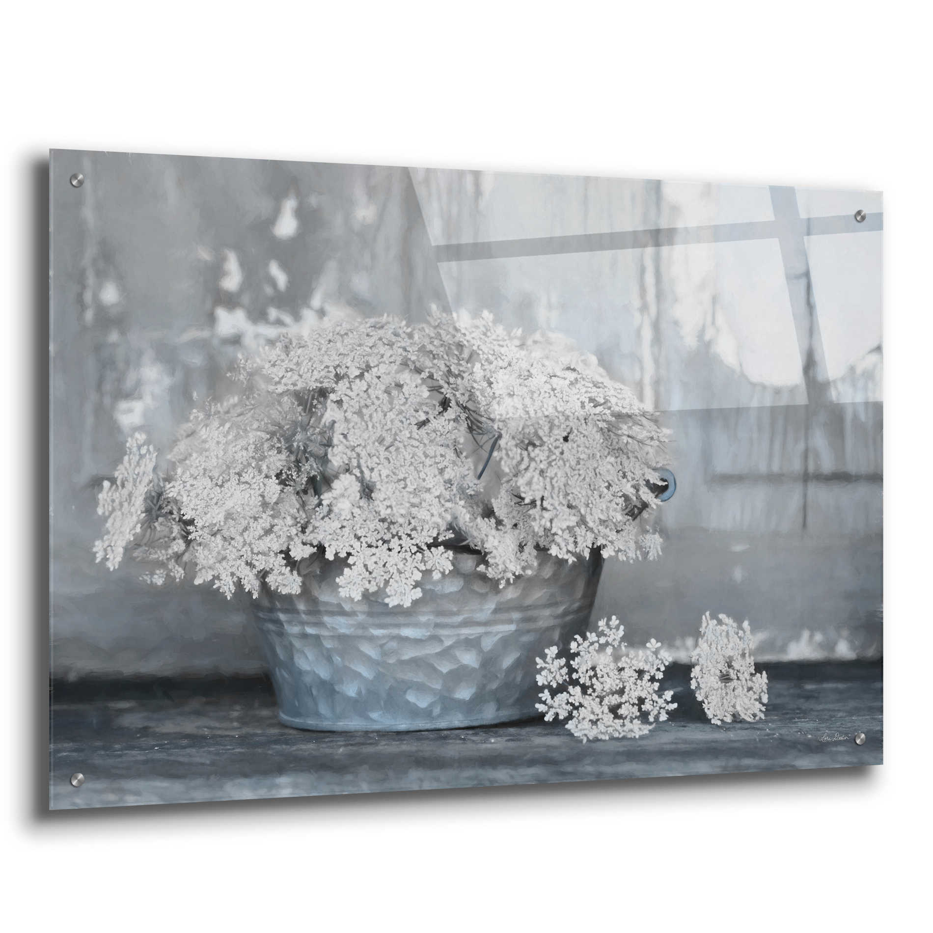 Epic Art 'Queen Anne's Lace I' by Lori Deiter Acrylic Glass Wall Art,36x24