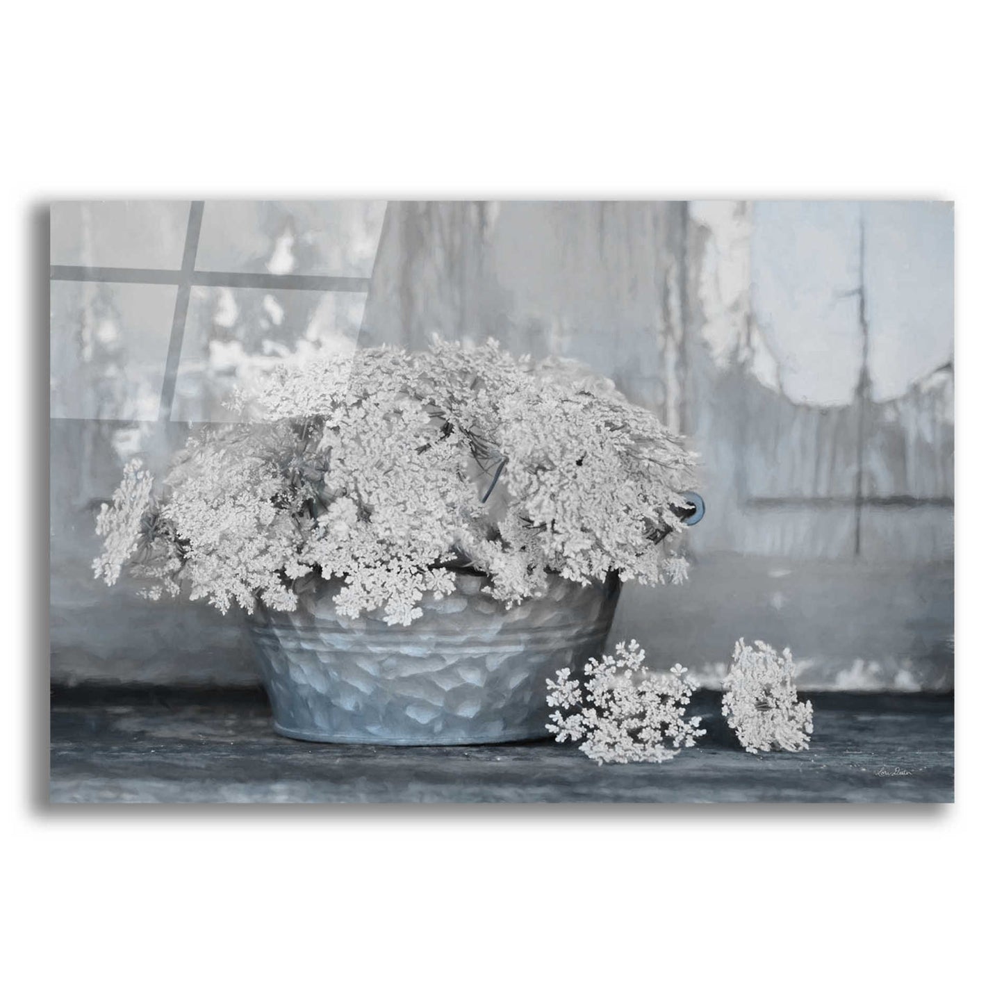 Epic Art 'Queen Anne's Lace I' by Lori Deiter Acrylic Glass Wall Art