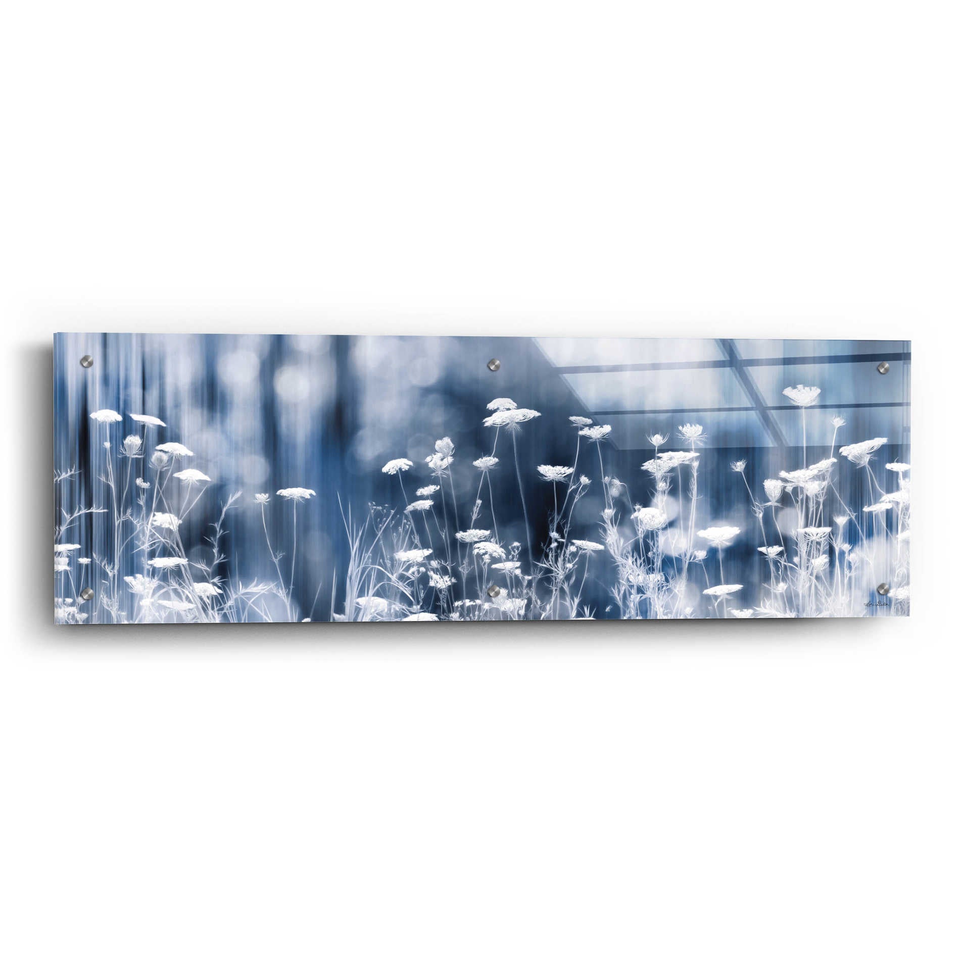 Epic Art 'Summer Dreams' by Lori Deiter Acrylic Glass Wall Art,36x12