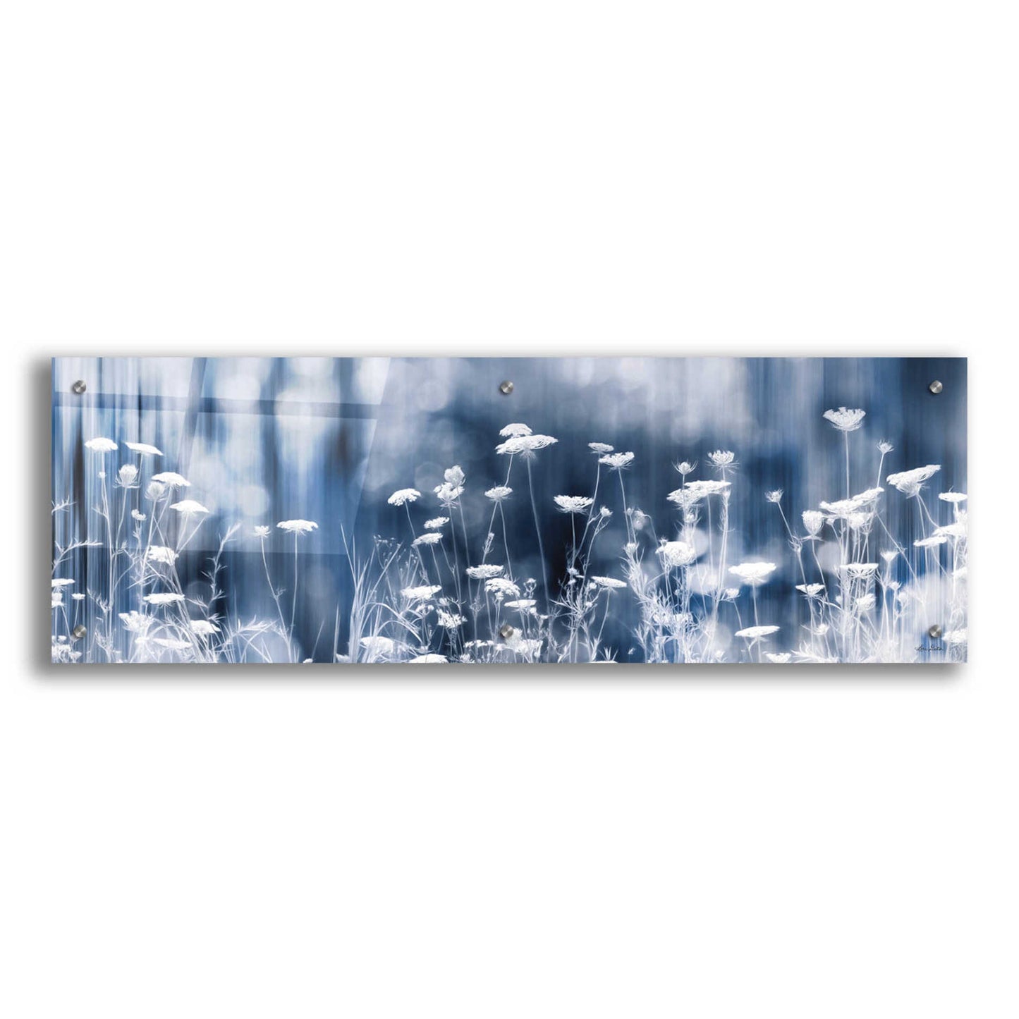 Epic Art 'Summer Dreams' by Lori Deiter Acrylic Glass Wall Art,36x12