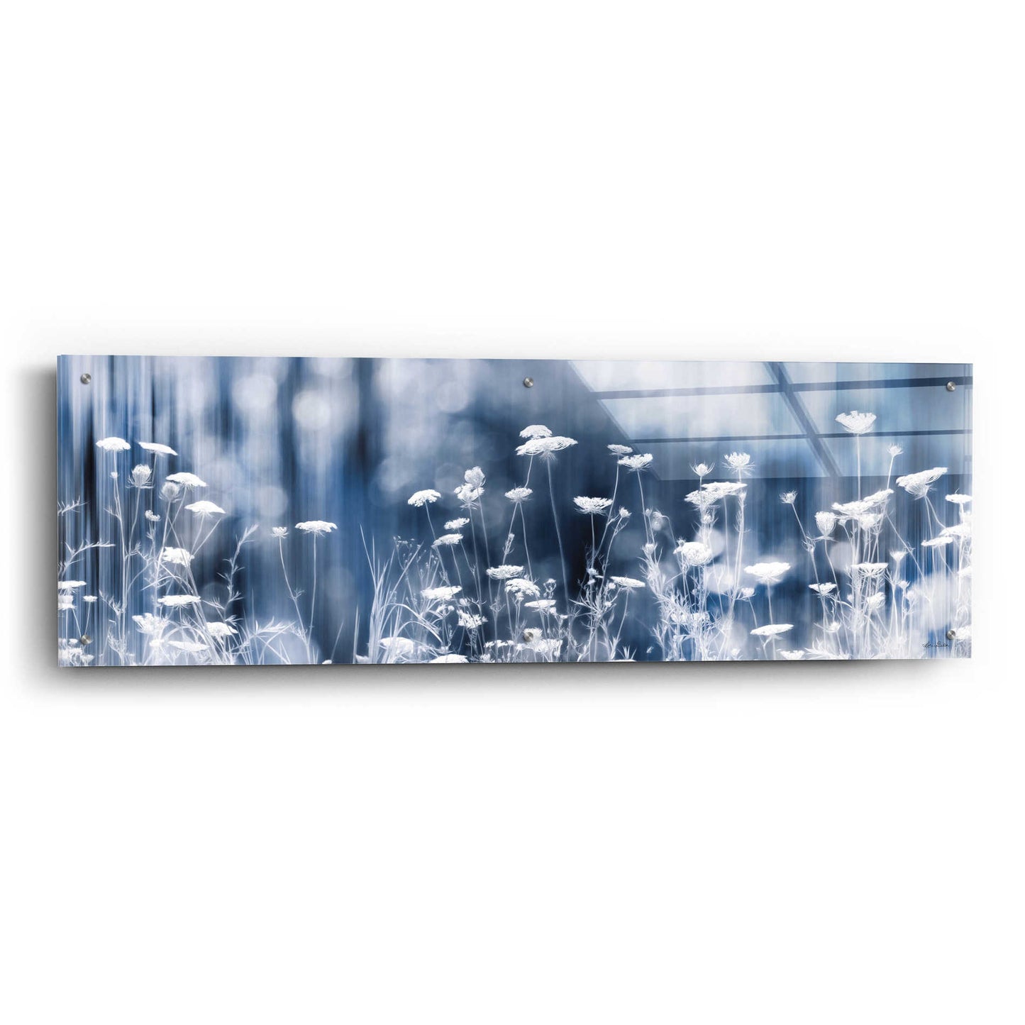 Epic Art 'Summer Dreams' by Lori Deiter Acrylic Glass Wall Art,48x16