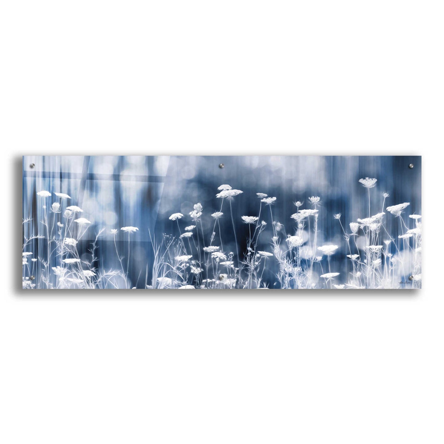 Epic Art 'Summer Dreams' by Lori Deiter Acrylic Glass Wall Art,48x16