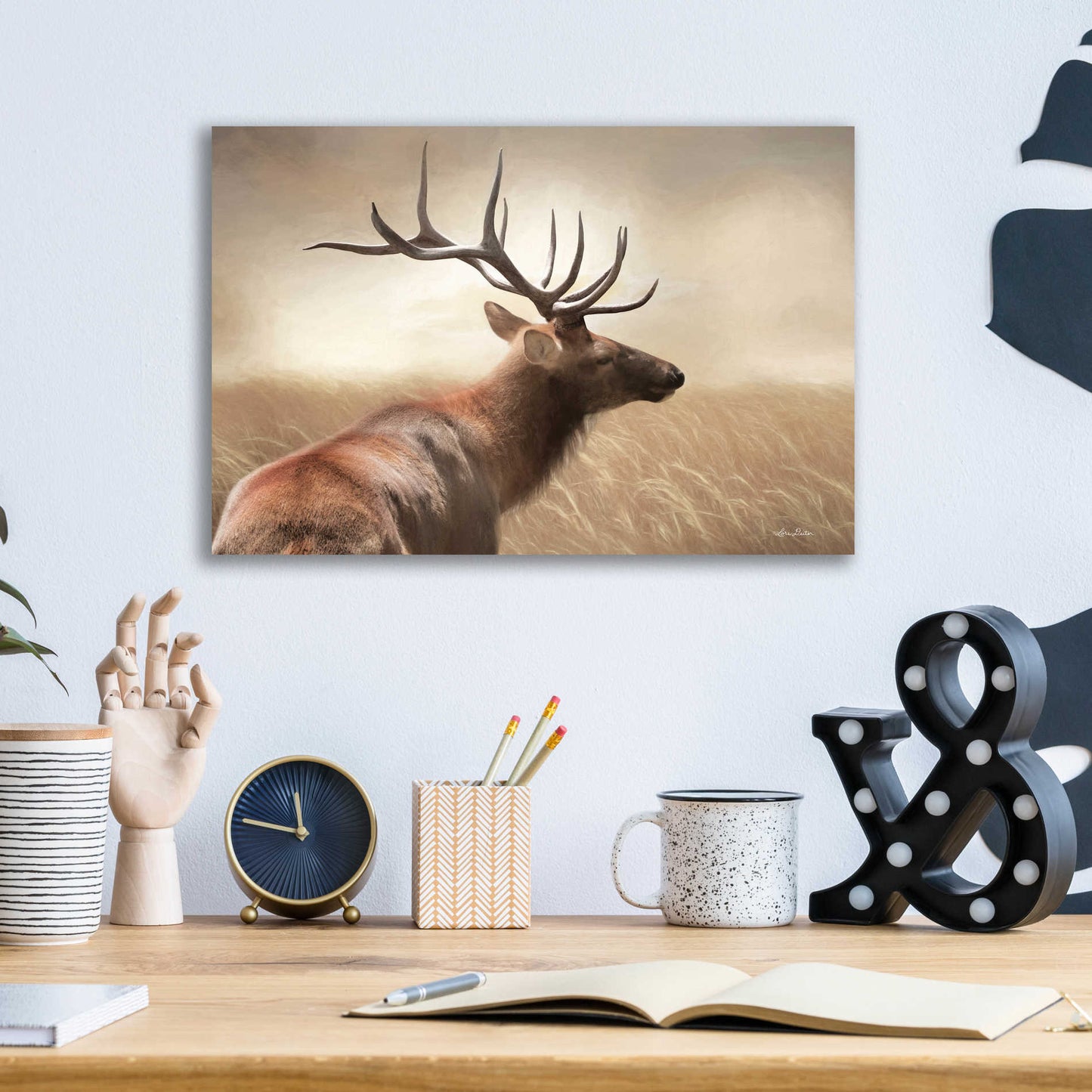 Epic Art 'Elk in the Grass' by Lori Deiter Acrylic Glass Wall Art,16x12