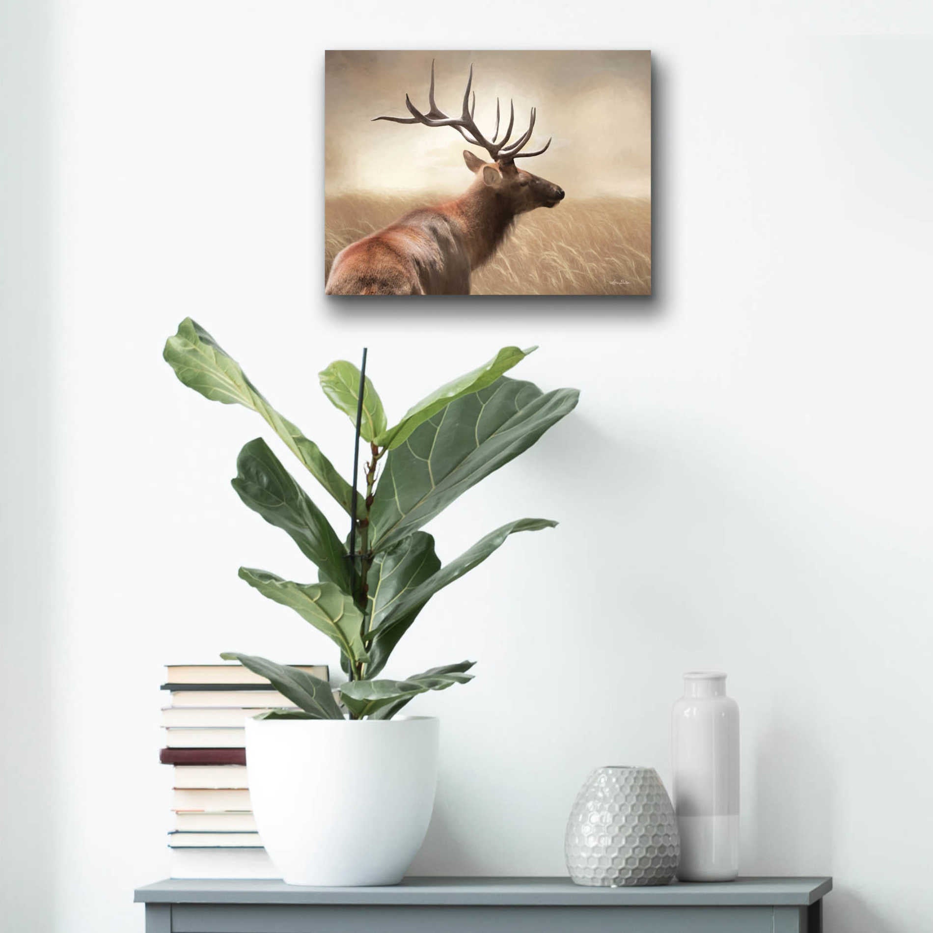 Epic Art 'Elk in the Grass' by Lori Deiter Acrylic Glass Wall Art,16x12