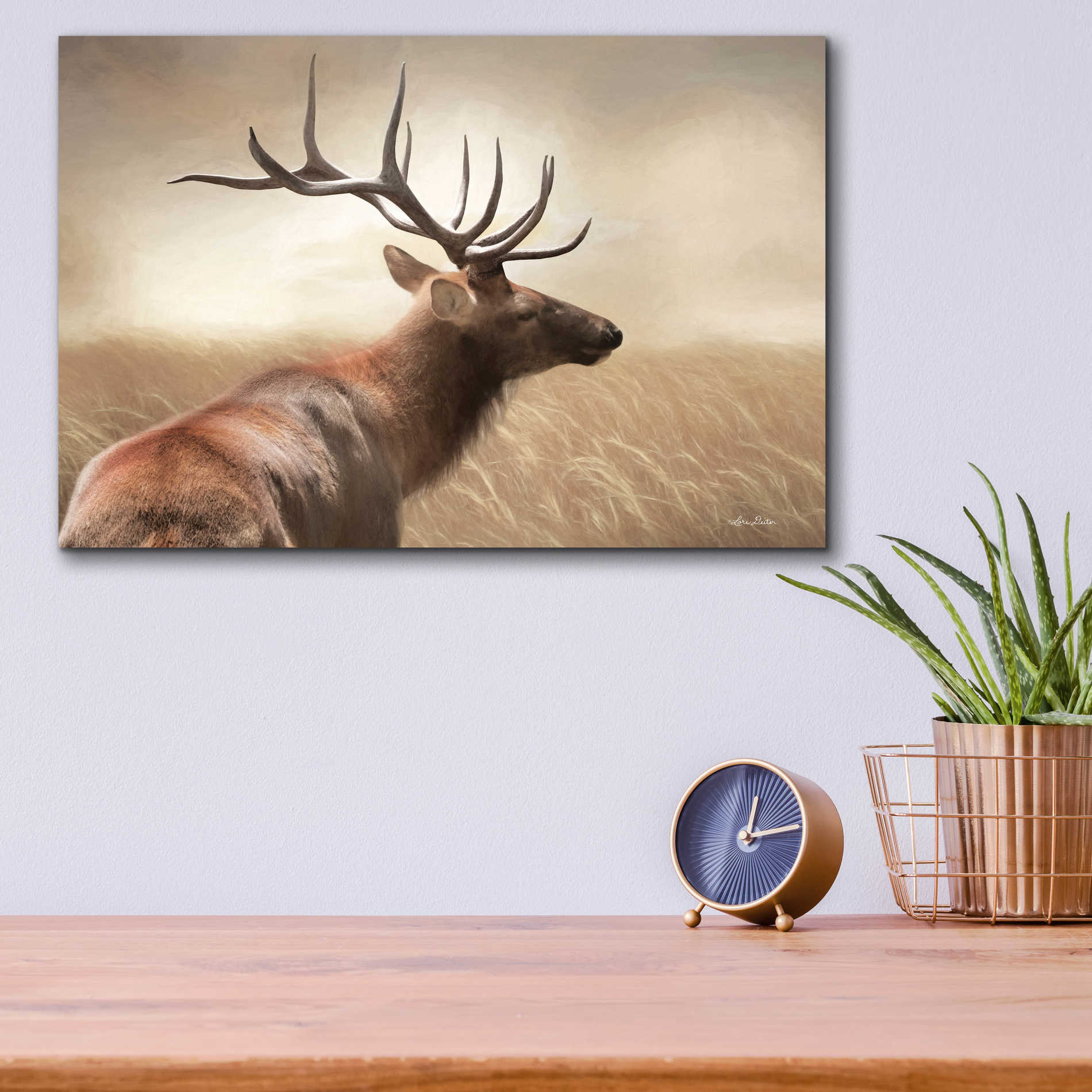 Epic Art 'Elk in the Grass' by Lori Deiter Acrylic Glass Wall Art,16x12