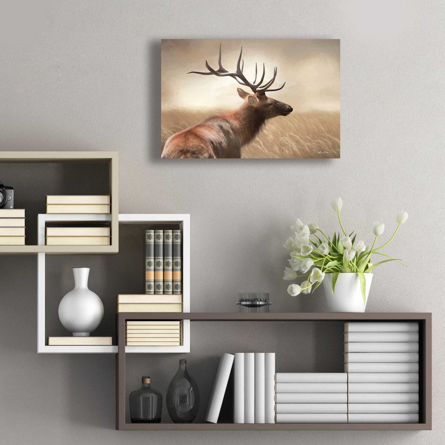 Epic Art 'Elk in the Grass' by Lori Deiter Acrylic Glass Wall Art,24x16