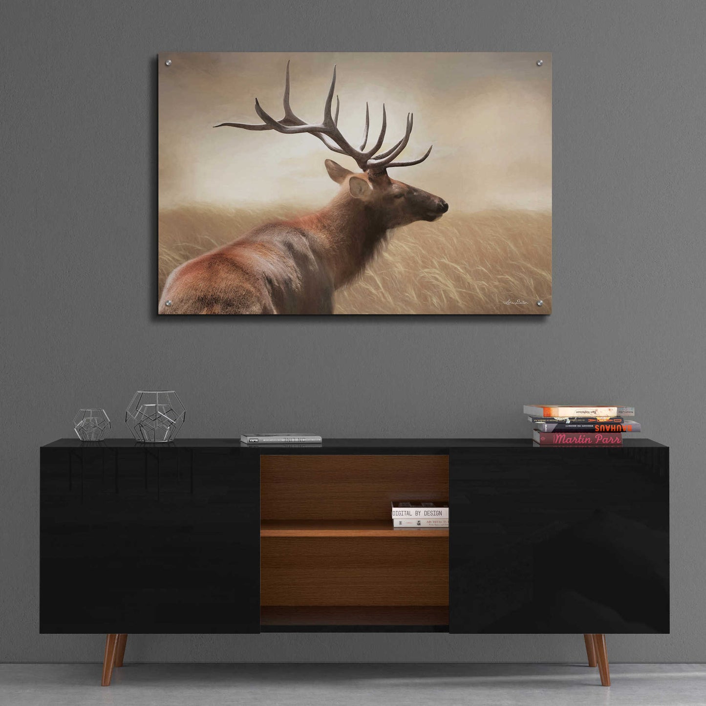 Epic Art 'Elk in the Grass' by Lori Deiter Acrylic Glass Wall Art,36x24
