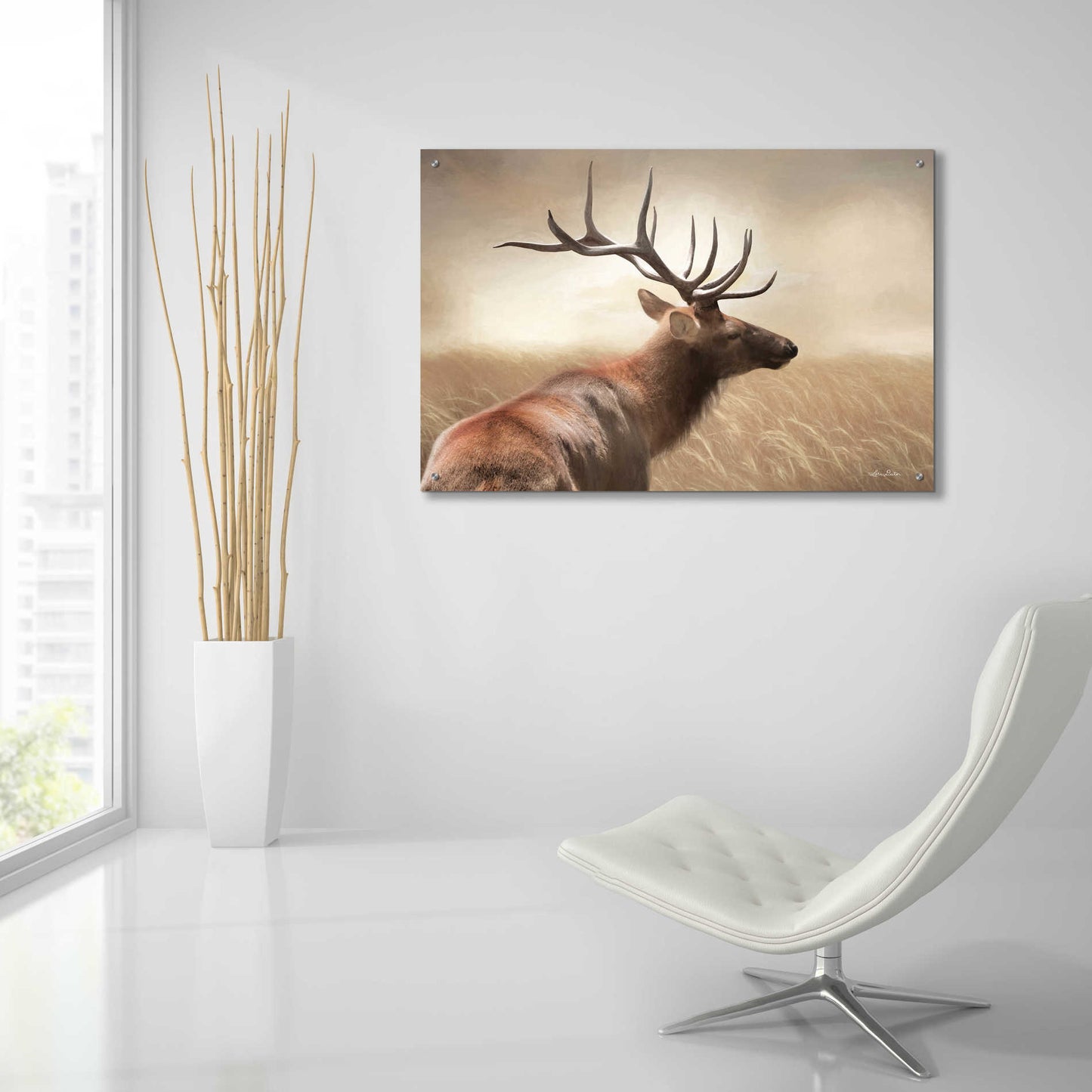Epic Art 'Elk in the Grass' by Lori Deiter Acrylic Glass Wall Art,36x24