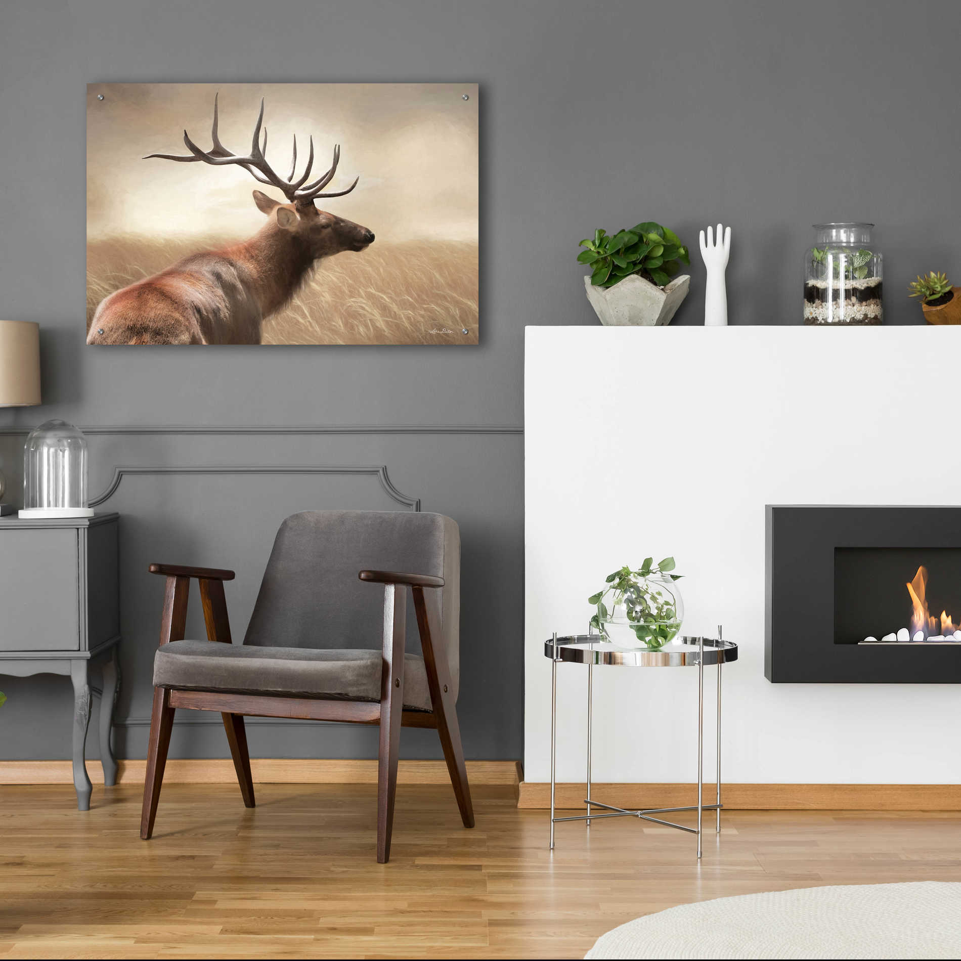 Epic Art 'Elk in the Grass' by Lori Deiter Acrylic Glass Wall Art,36x24