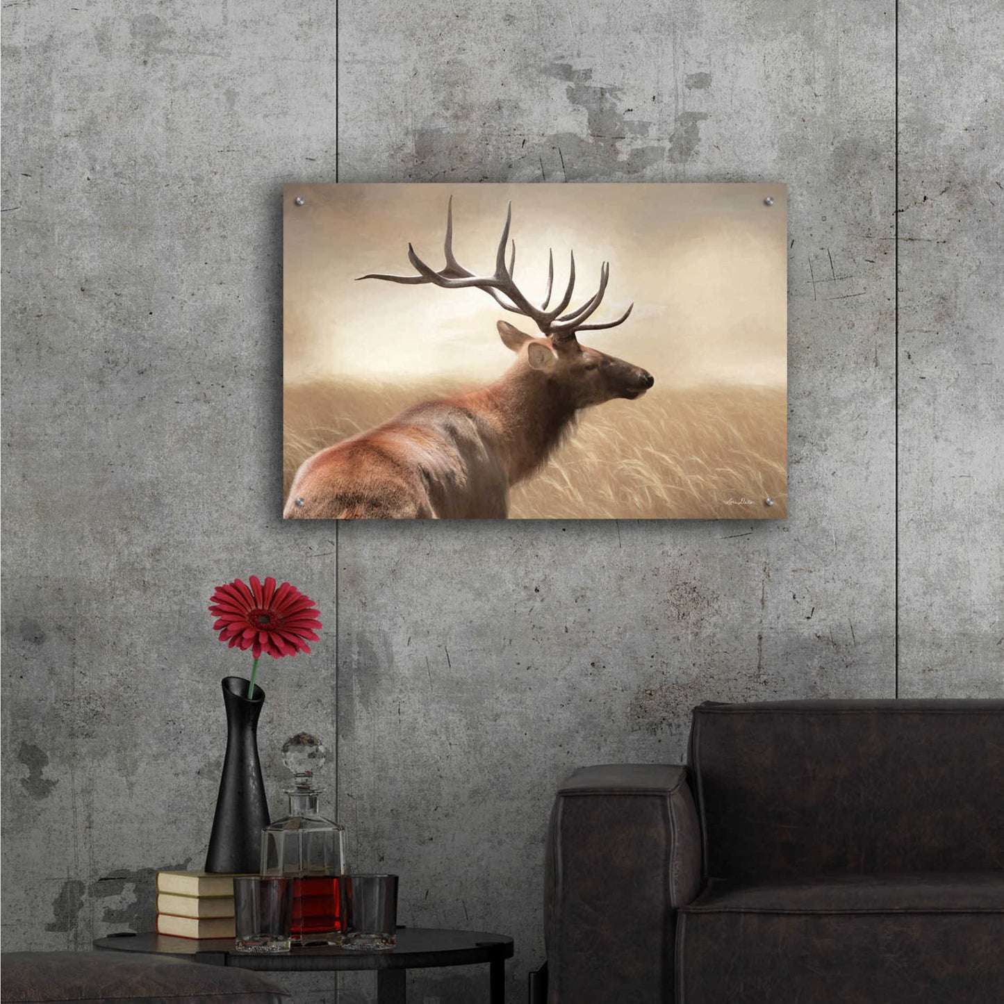 Epic Art 'Elk in the Grass' by Lori Deiter Acrylic Glass Wall Art,36x24