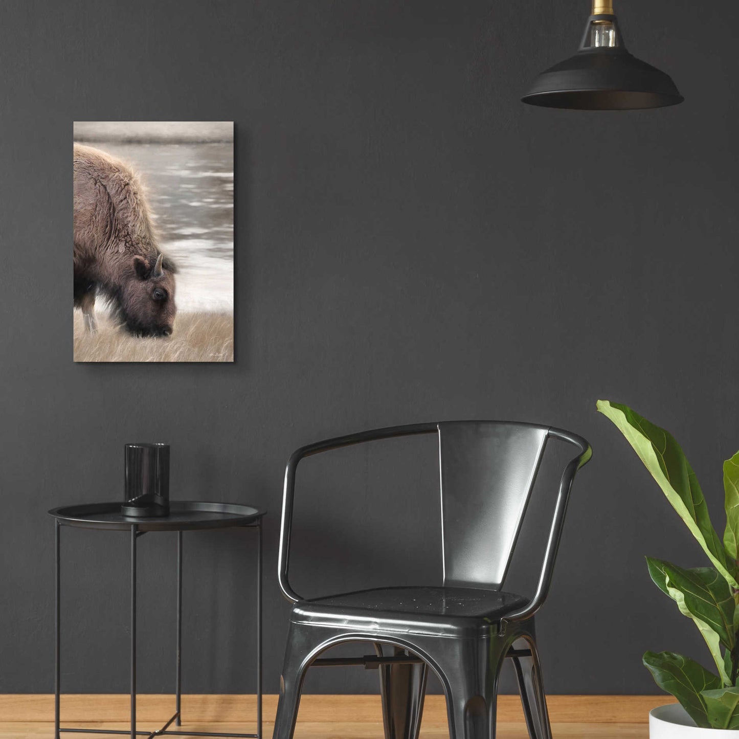 Epic Art 'Yellowstone Buffalo' by Lori Deiter Acrylic Glass Wall Art,16x24