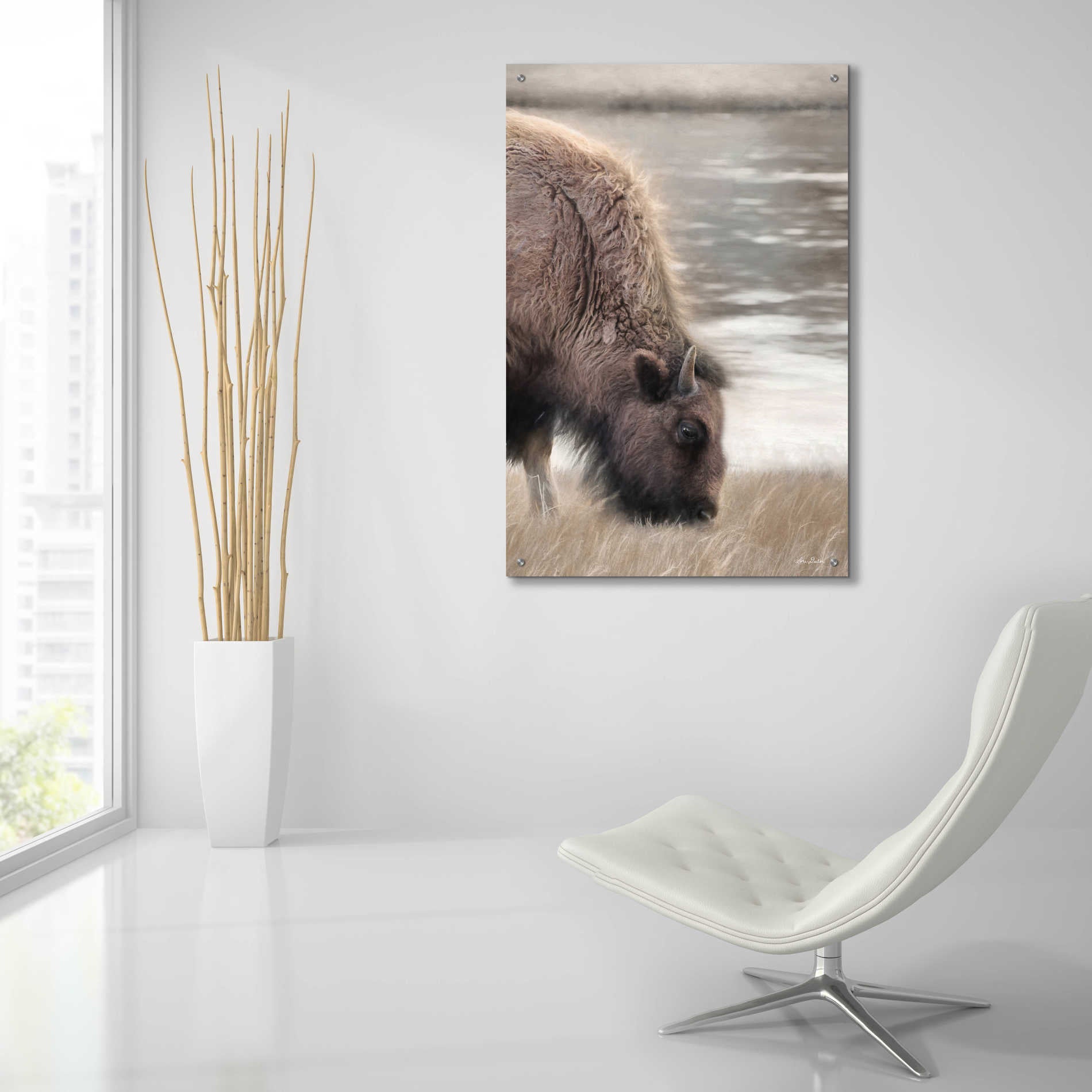 Epic Art 'Yellowstone Buffalo' by Lori Deiter Acrylic Glass Wall Art,24x36