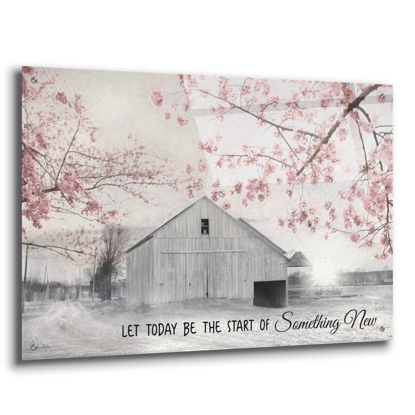 Epic Art 'Something New' by Lori Deiter Acrylic Glass Wall Art,36x24