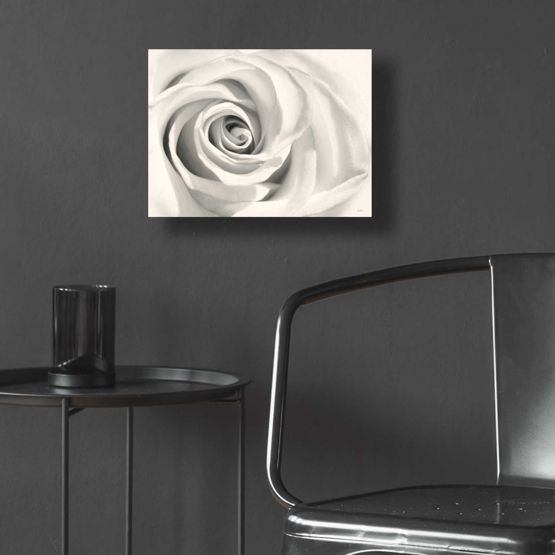 Epic Art 'Rose II' by Lori Deiter Acrylic Glass Wall Art,16x12