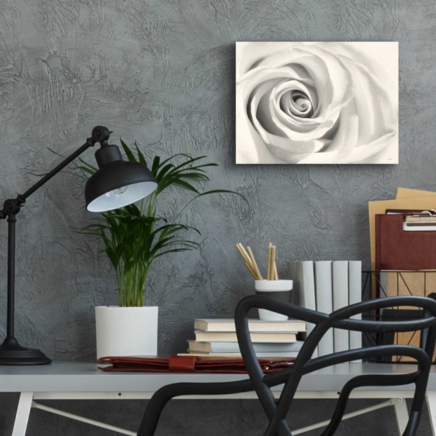 Epic Art 'Rose II' by Lori Deiter Acrylic Glass Wall Art,16x12