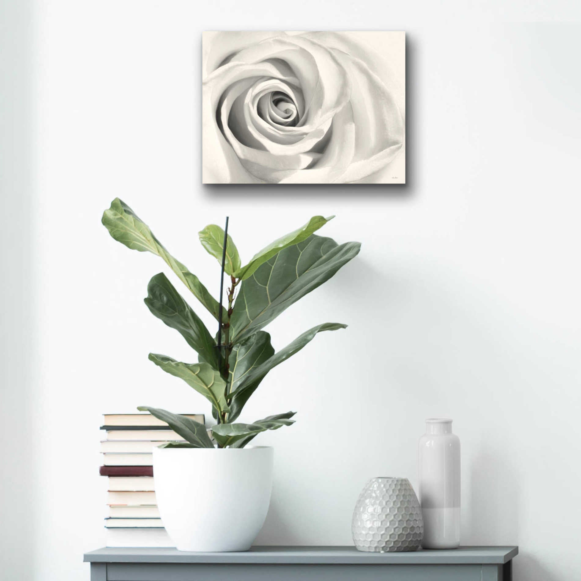 Epic Art 'Rose II' by Lori Deiter Acrylic Glass Wall Art,16x12