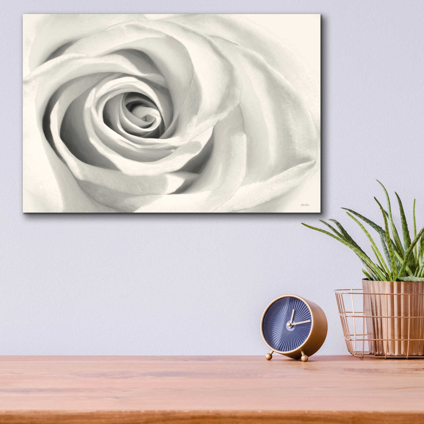 Epic Art 'Rose II' by Lori Deiter Acrylic Glass Wall Art,16x12