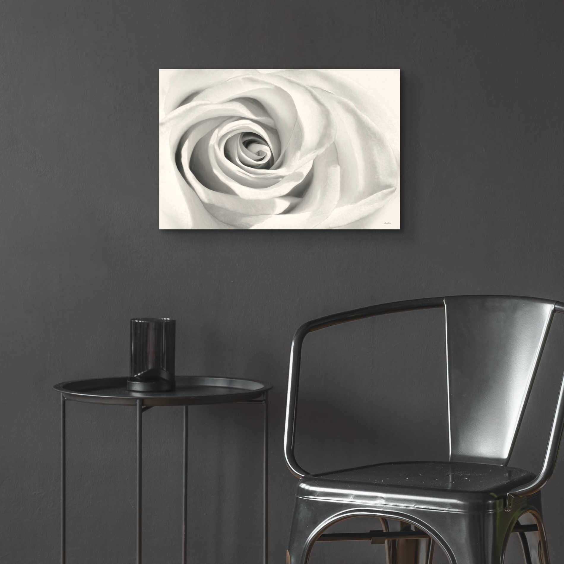 Epic Art 'Rose II' by Lori Deiter Acrylic Glass Wall Art,24x16