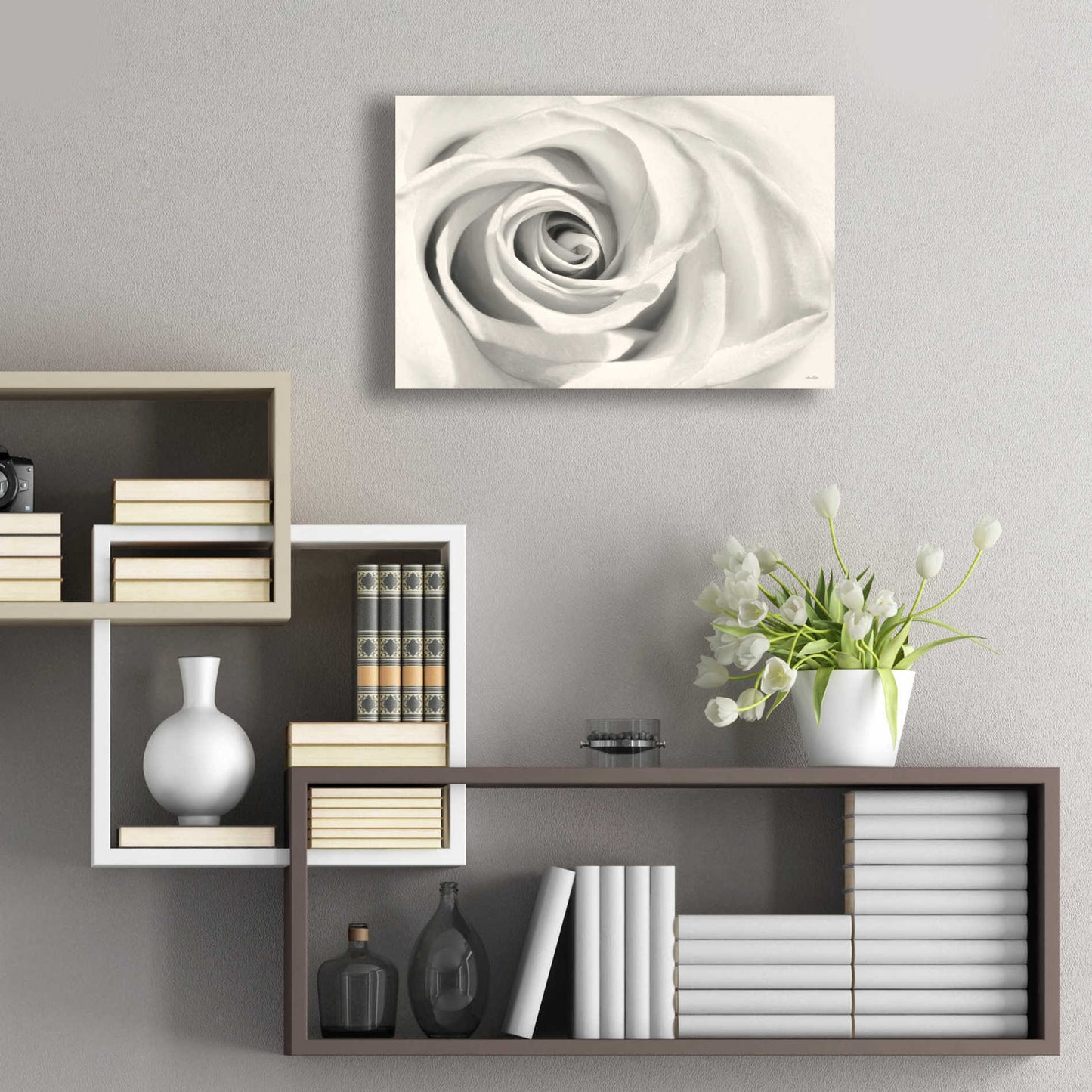 Epic Art 'Rose II' by Lori Deiter Acrylic Glass Wall Art,24x16