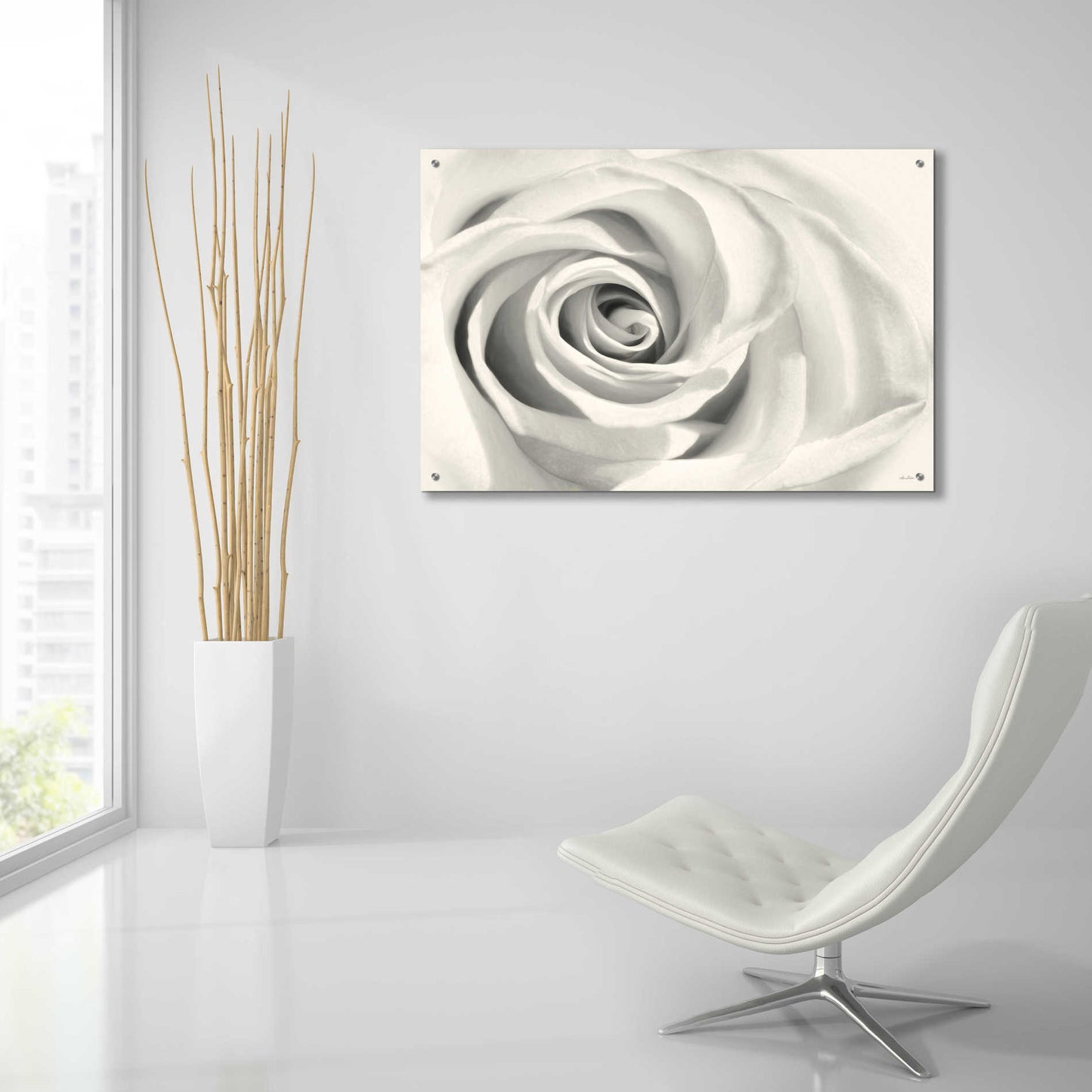 Epic Art 'Rose II' by Lori Deiter Acrylic Glass Wall Art,36x24