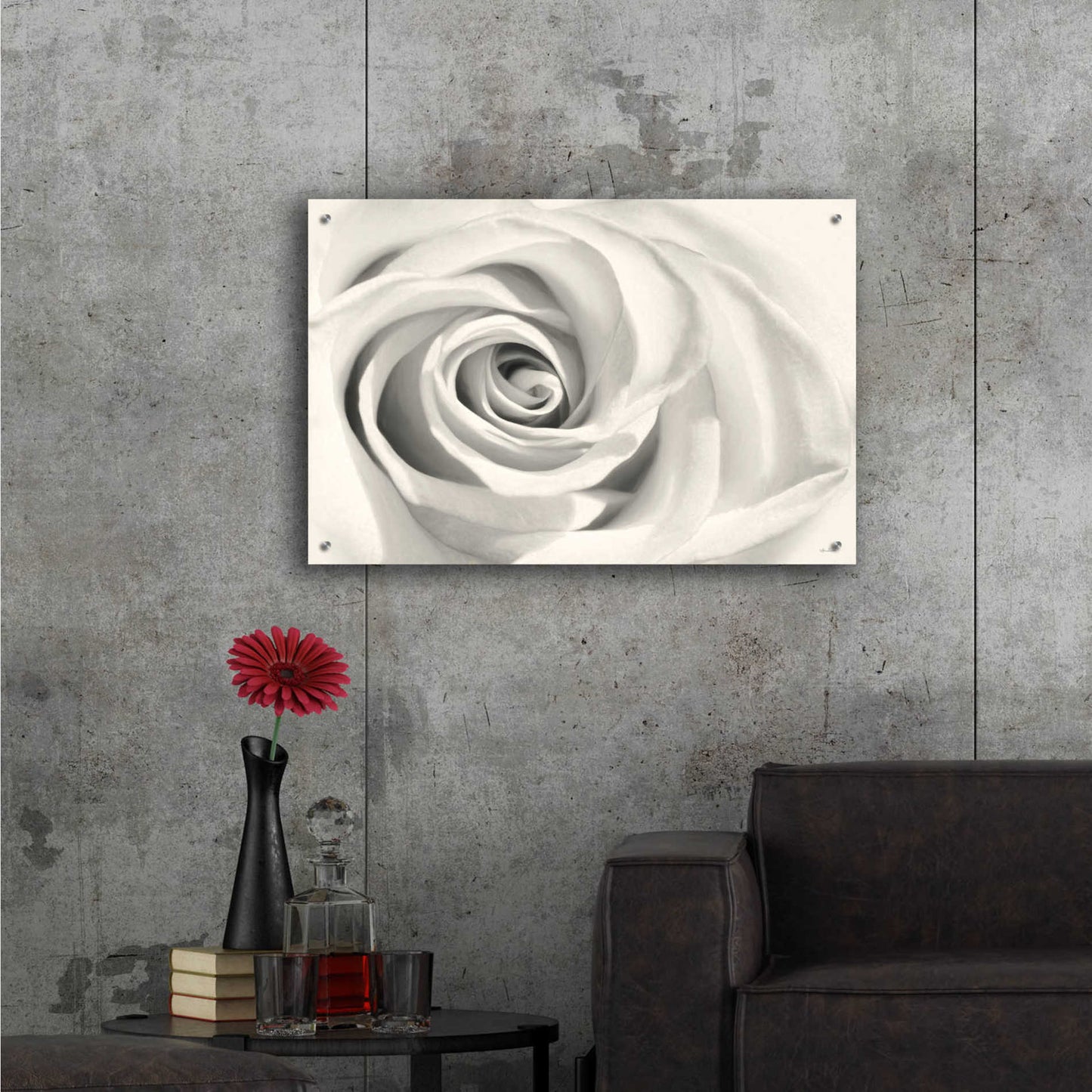 Epic Art 'Rose II' by Lori Deiter Acrylic Glass Wall Art,36x24