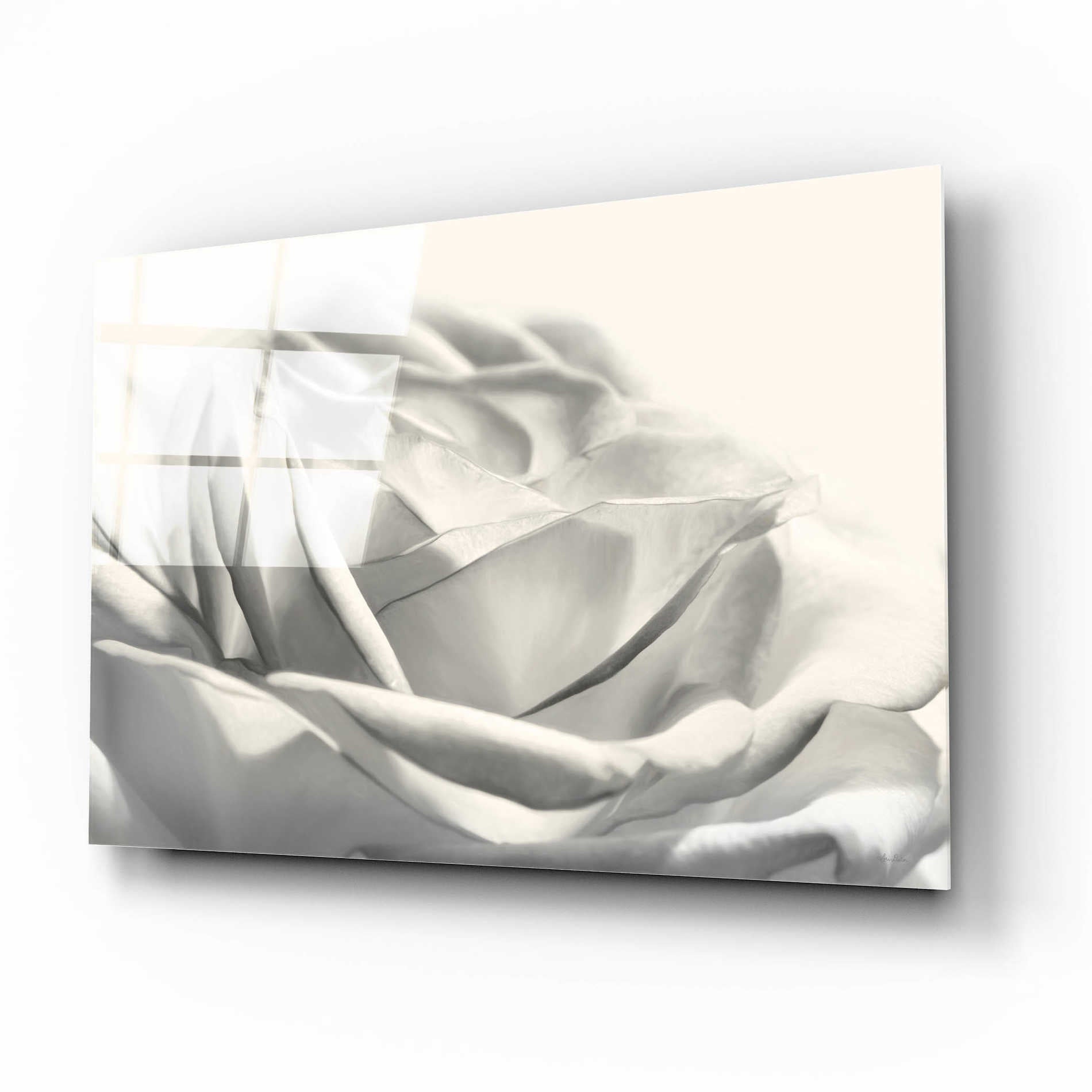 Epic Art 'Rose III' by Lori Deiter Acrylic Glass Wall Art,16x12