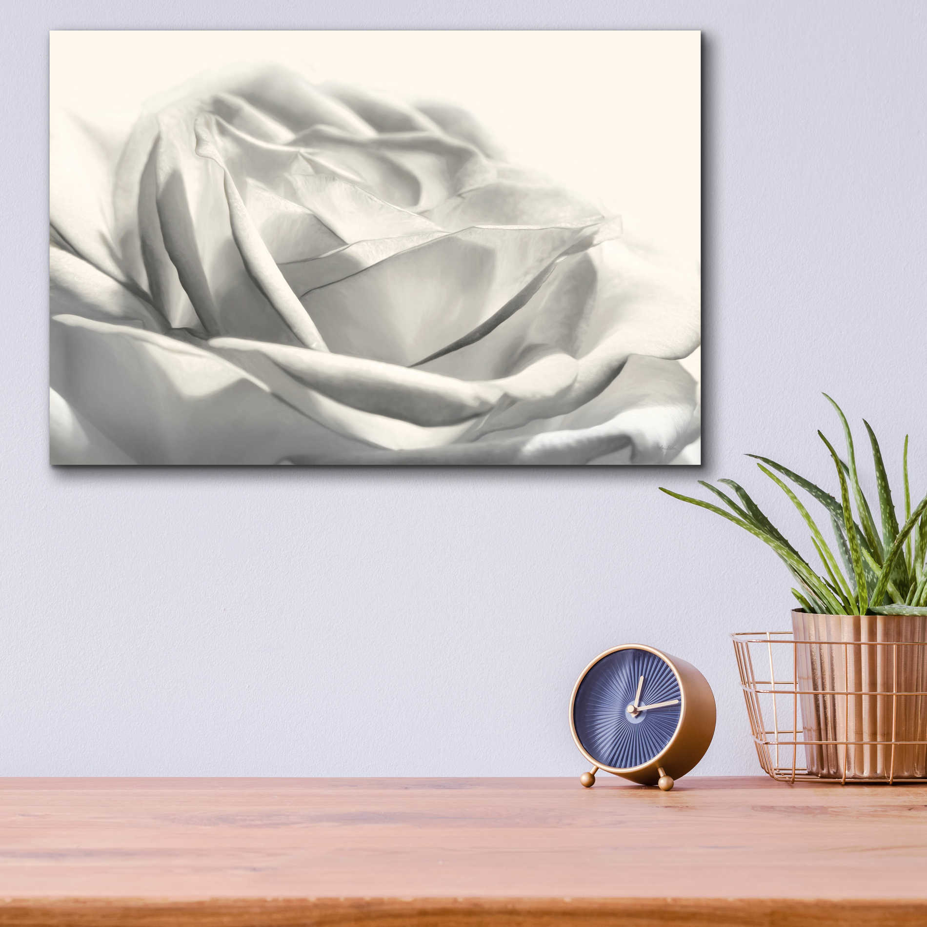 Epic Art 'Rose III' by Lori Deiter Acrylic Glass Wall Art,16x12