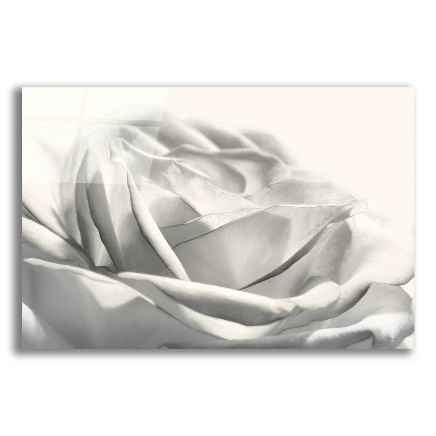 Epic Art 'Rose III' by Lori Deiter Acrylic Glass Wall Art,16x12