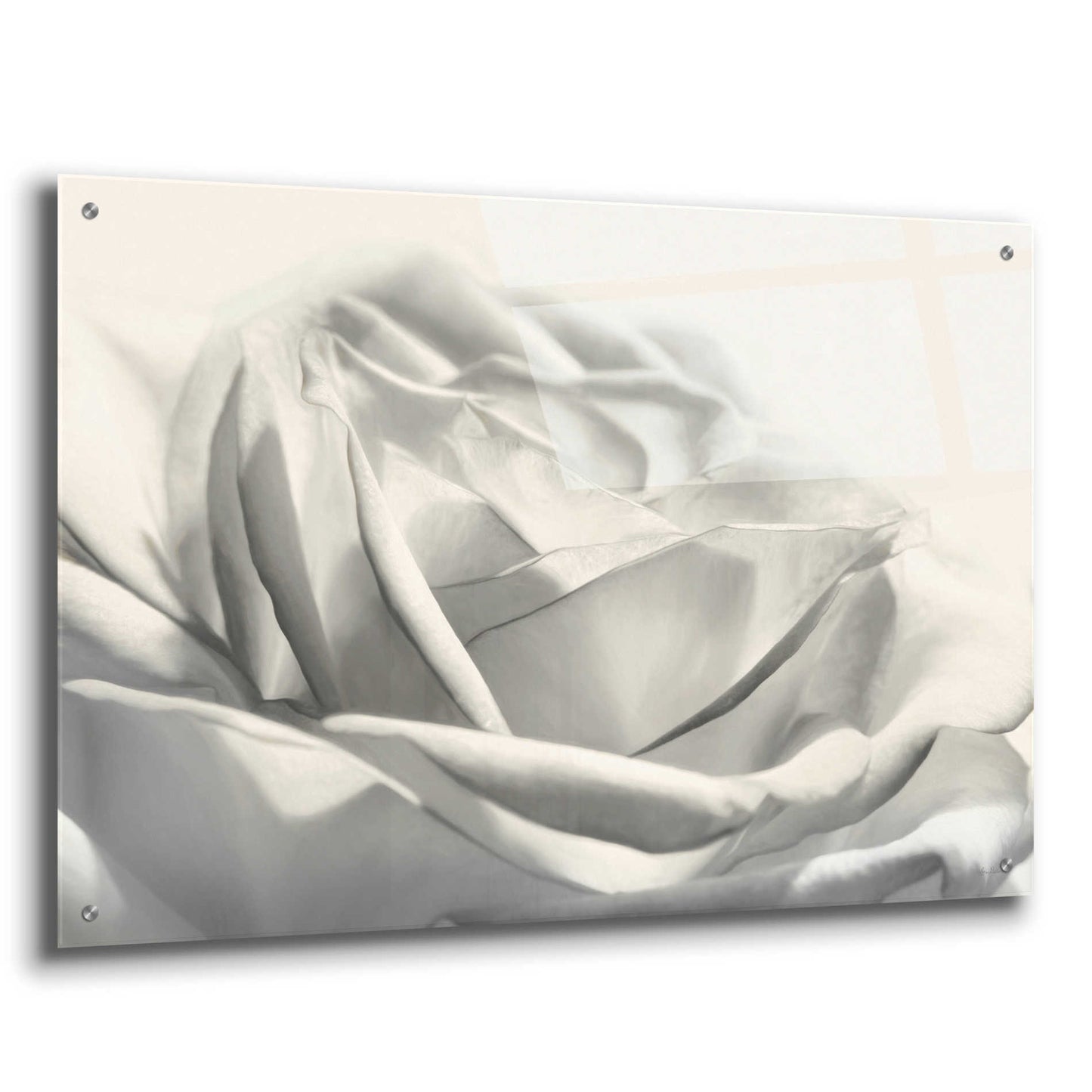 Epic Art 'Rose III' by Lori Deiter Acrylic Glass Wall Art,36x24