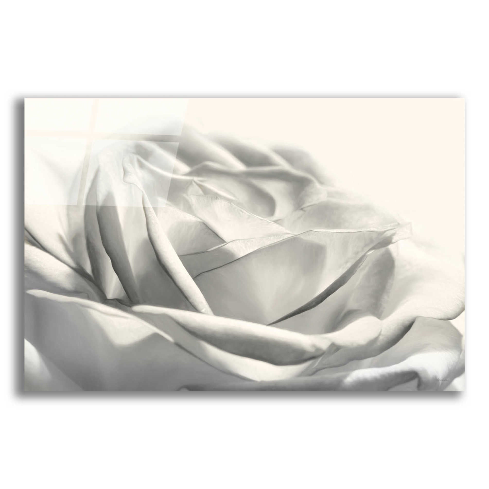 Epic Art 'Rose III' by Lori Deiter Acrylic Glass Wall Art