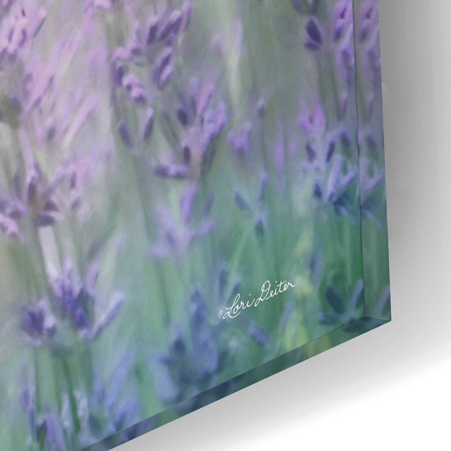 Epic Art 'Lovely Lavender' by Lori Deiter Acrylic Glass Wall Art,16x12