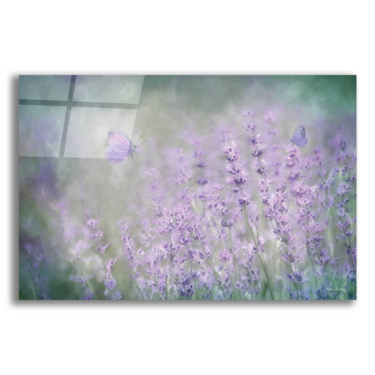 Epic Art 'Lovely Lavender' by Lori Deiter Acrylic Glass Wall Art,16x12