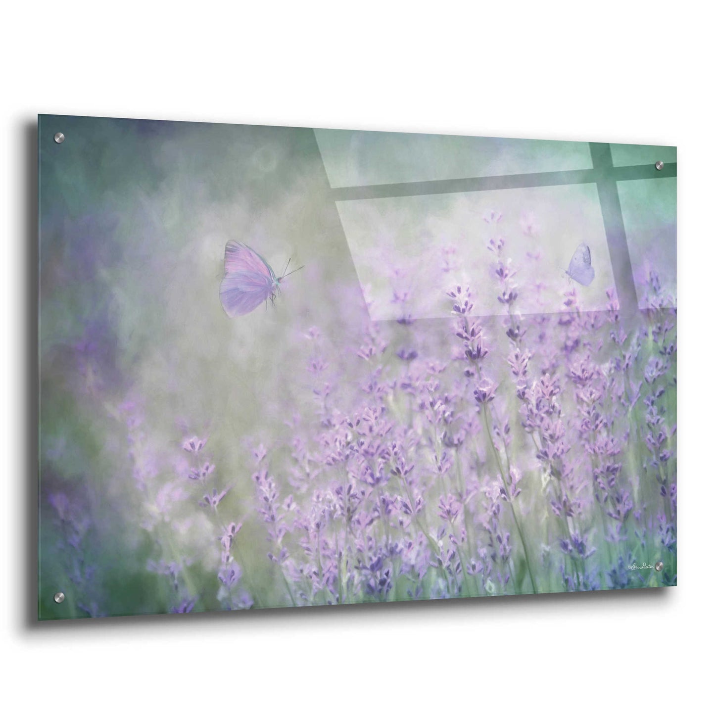 Epic Art 'Lovely Lavender' by Lori Deiter Acrylic Glass Wall Art,36x24