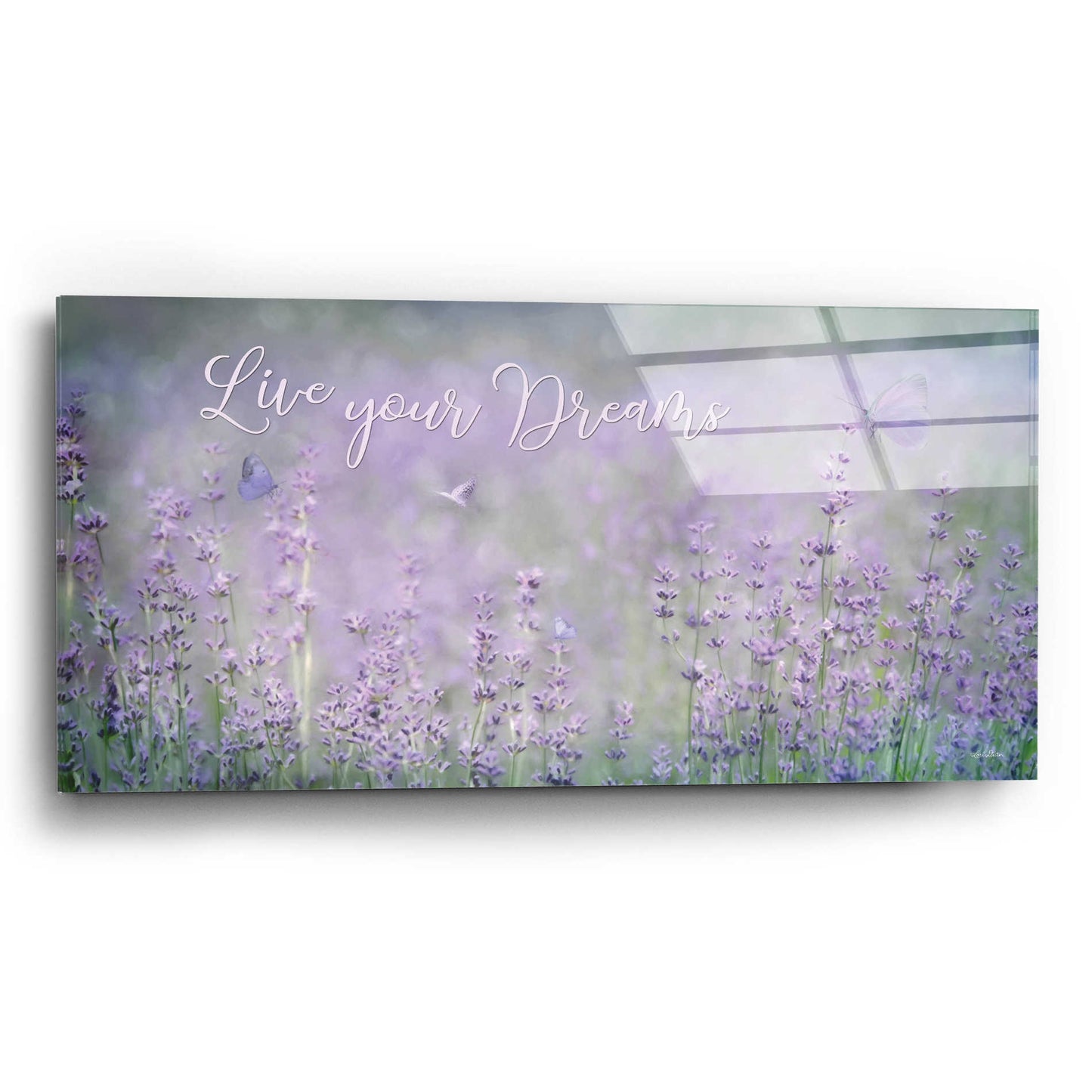 Epic Art 'Live Your Dreams' by Lori Deiter Acrylic Glass Wall Art,24x12